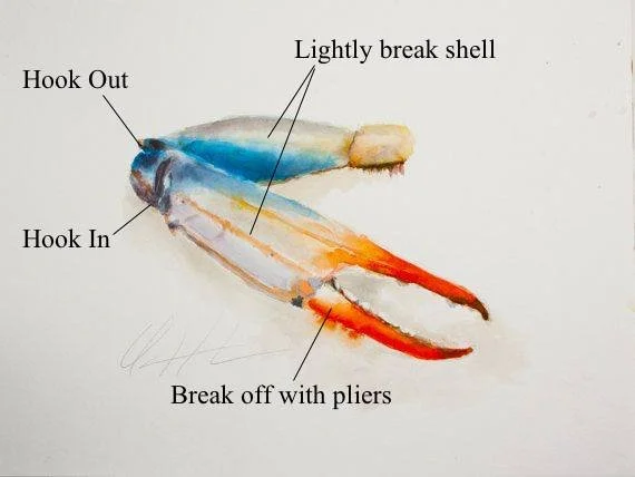 Carb bait claw redfish drum