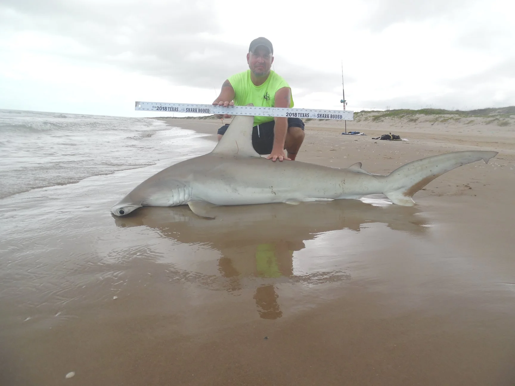 A man kneeling on a beach holding a measuring stick on a large shark.