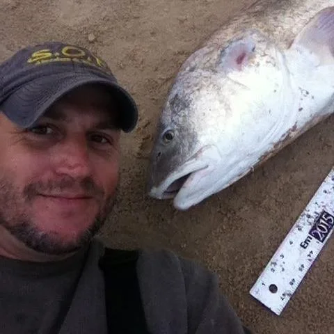 A man taking a selfie next to a large fish lying on the sand, with a measuring tape next to it showing a length of around 20 inches.