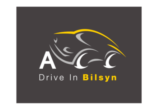 Logo for Bilsyn, showing a stylized fish and the text 'Drive In Bilsyn' on a dark background.