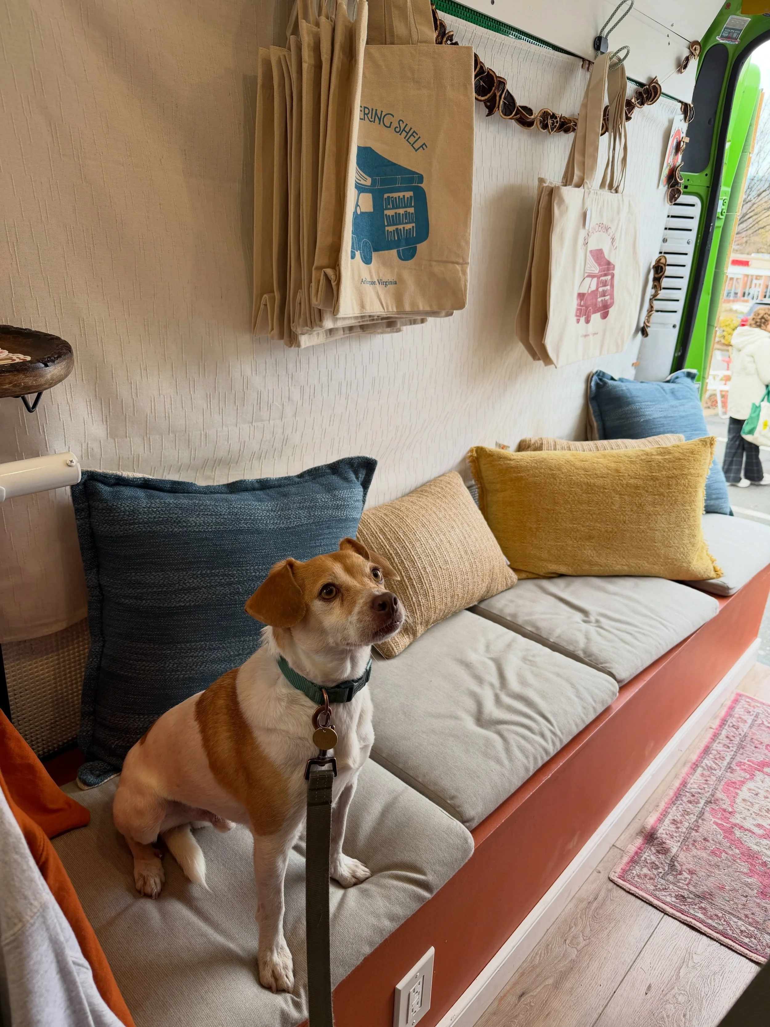 Another week another pup 🥹

Come say hi at @casual__adventure today! I&rsquo;ll be showing off our nature selection and encouraging everyone to get outside and read 📚☕️

Arlington | Virginia | Bookstore | Shop Local | Books