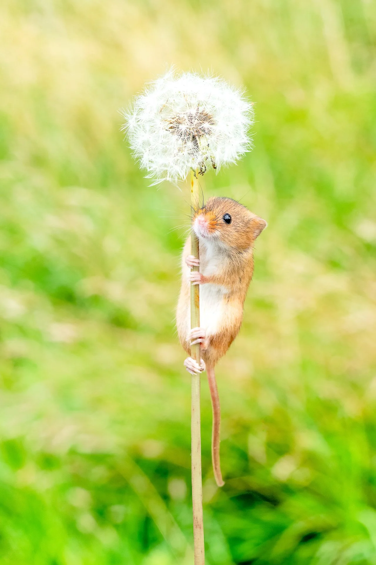 hang in there-2.jpg