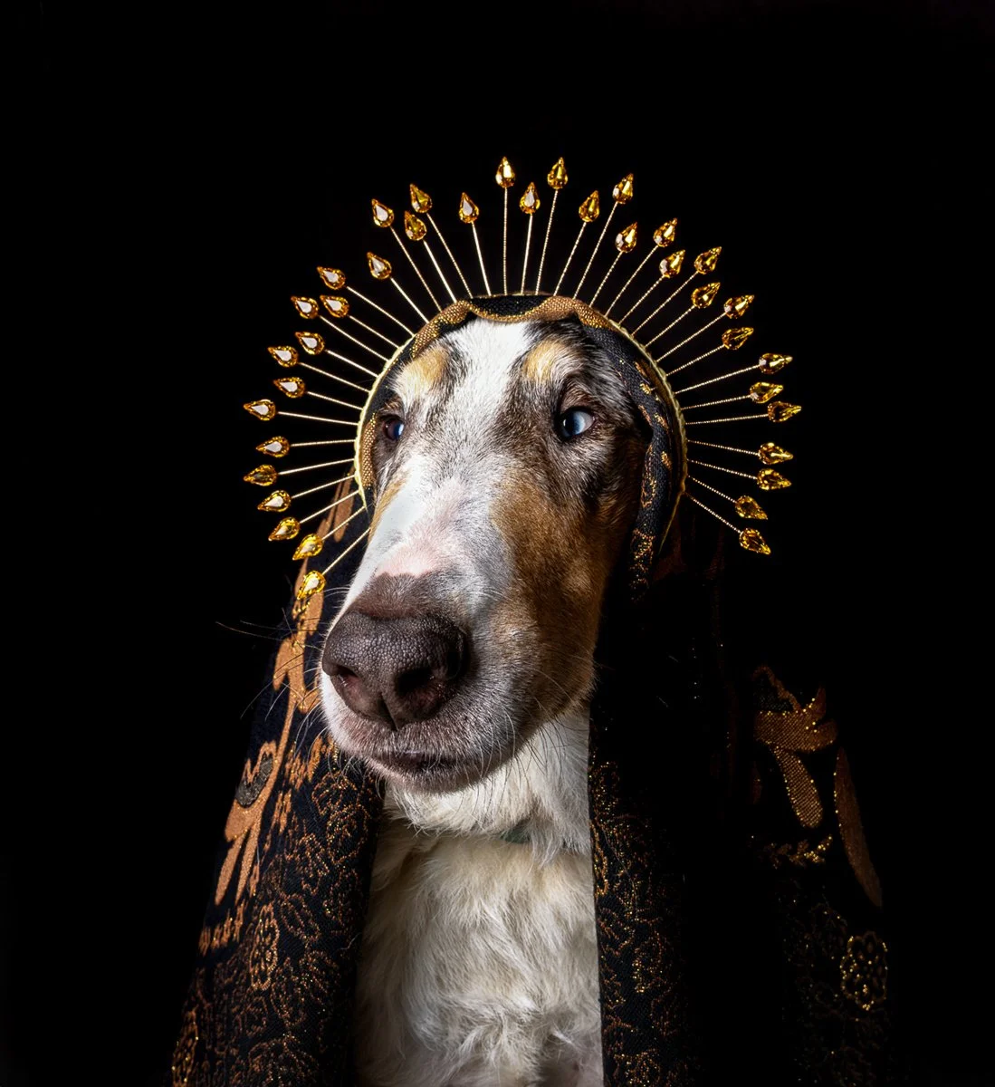 final headwearDSC04189-20240206 copy.jpg