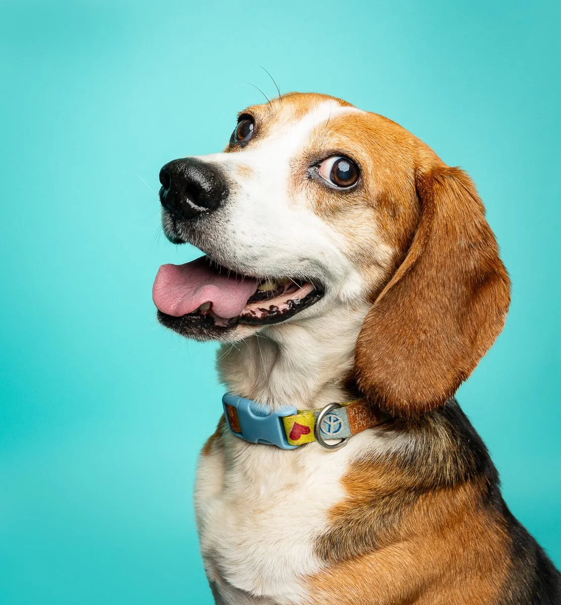 DSC01707-20231122 -Edit-2.jpg