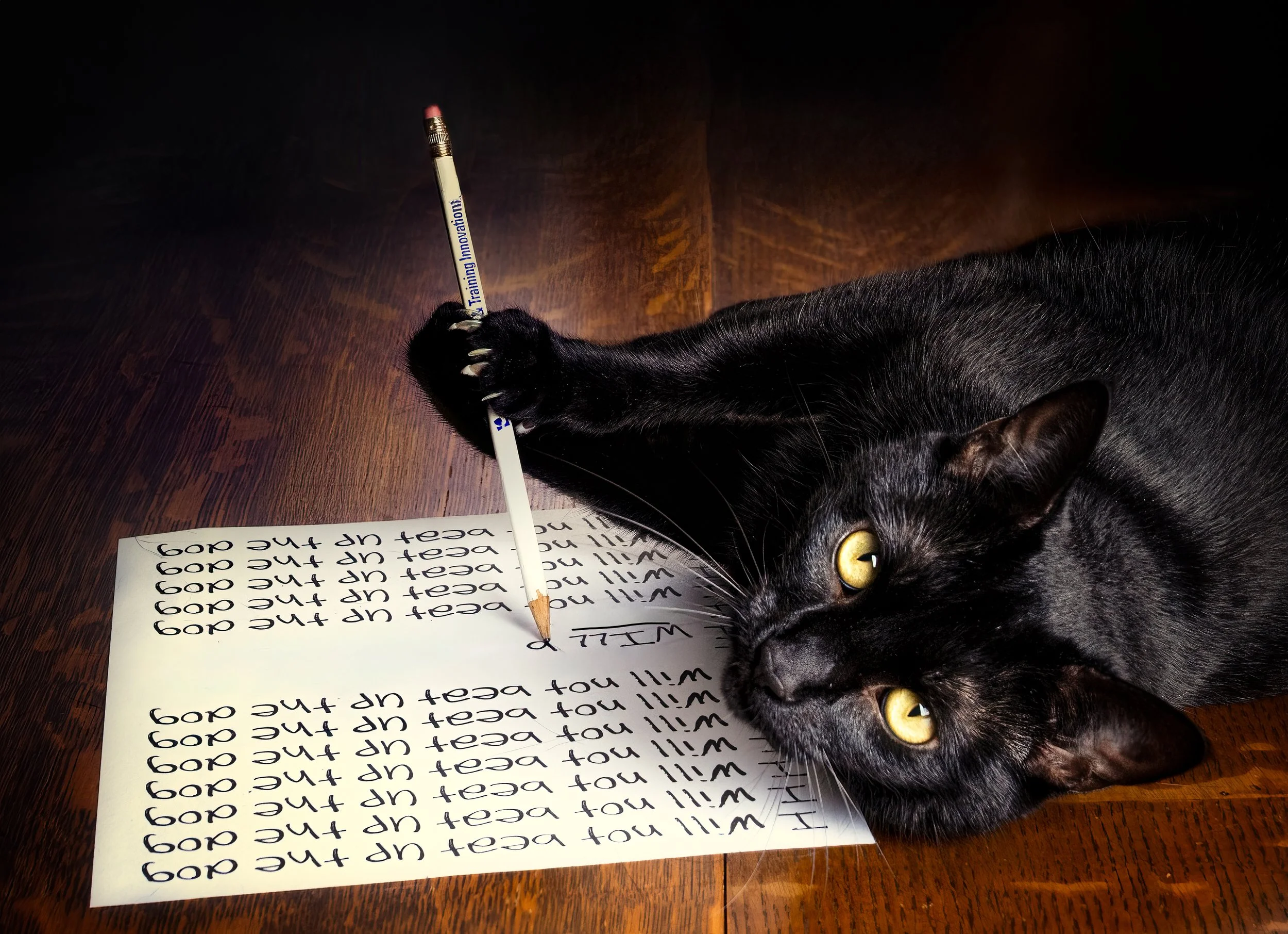 Purrjury repeating--272-Edit.jpg