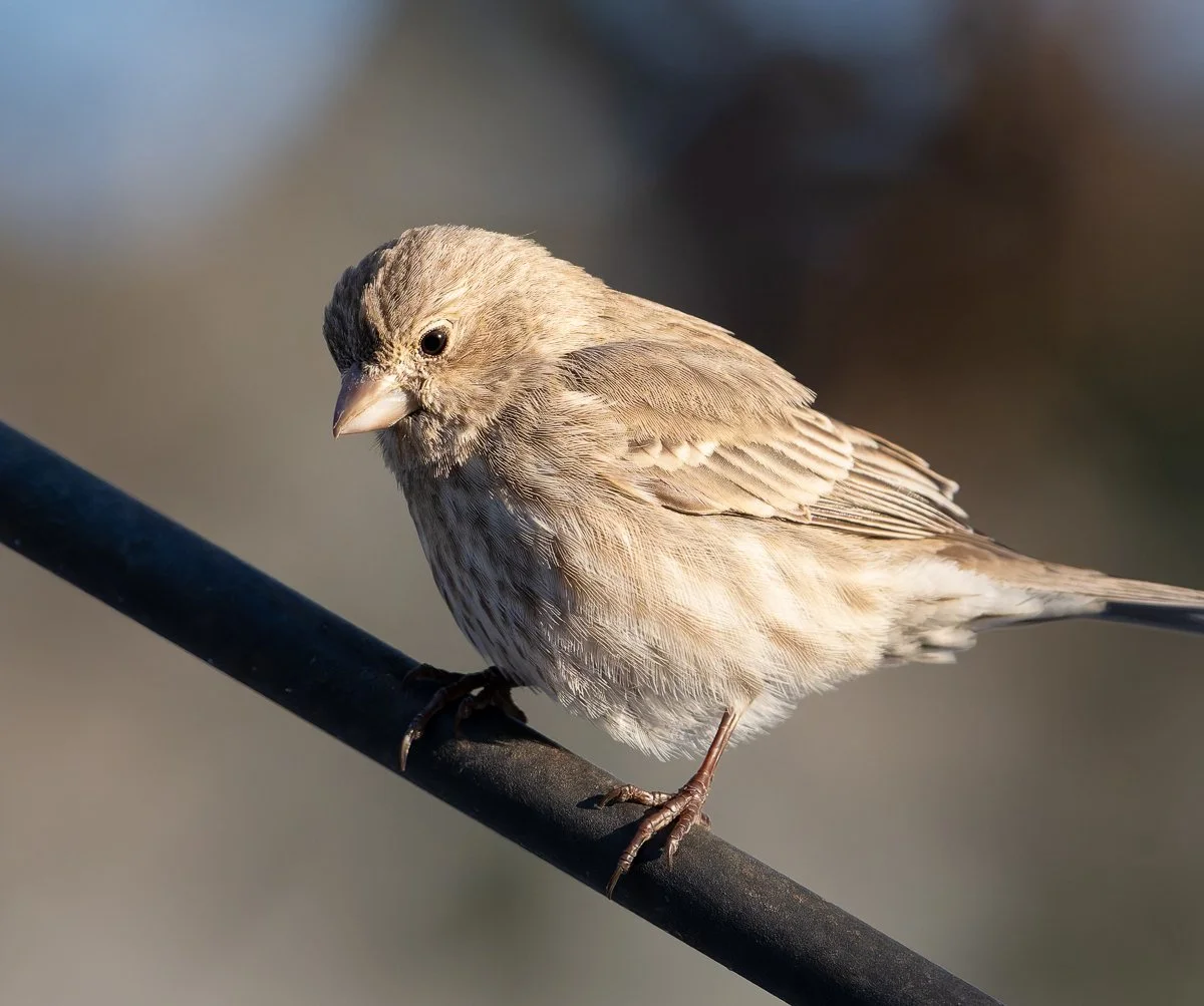 Working with Harsh Sunlight
