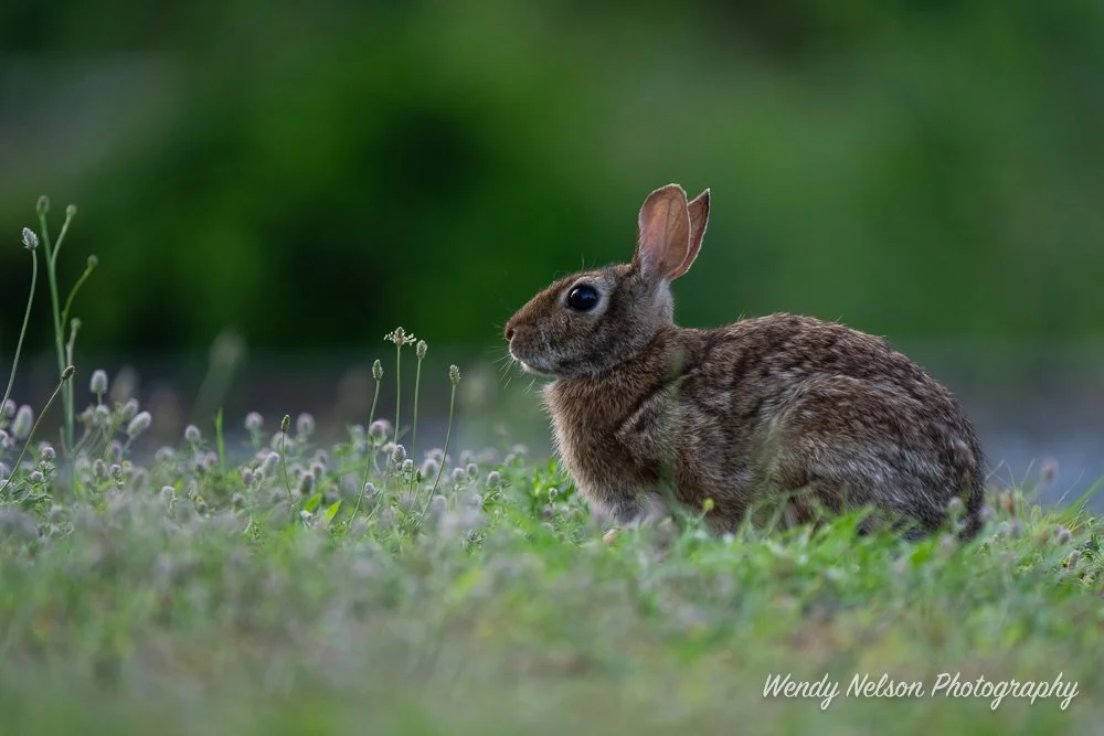 “Getting Down” to the basics