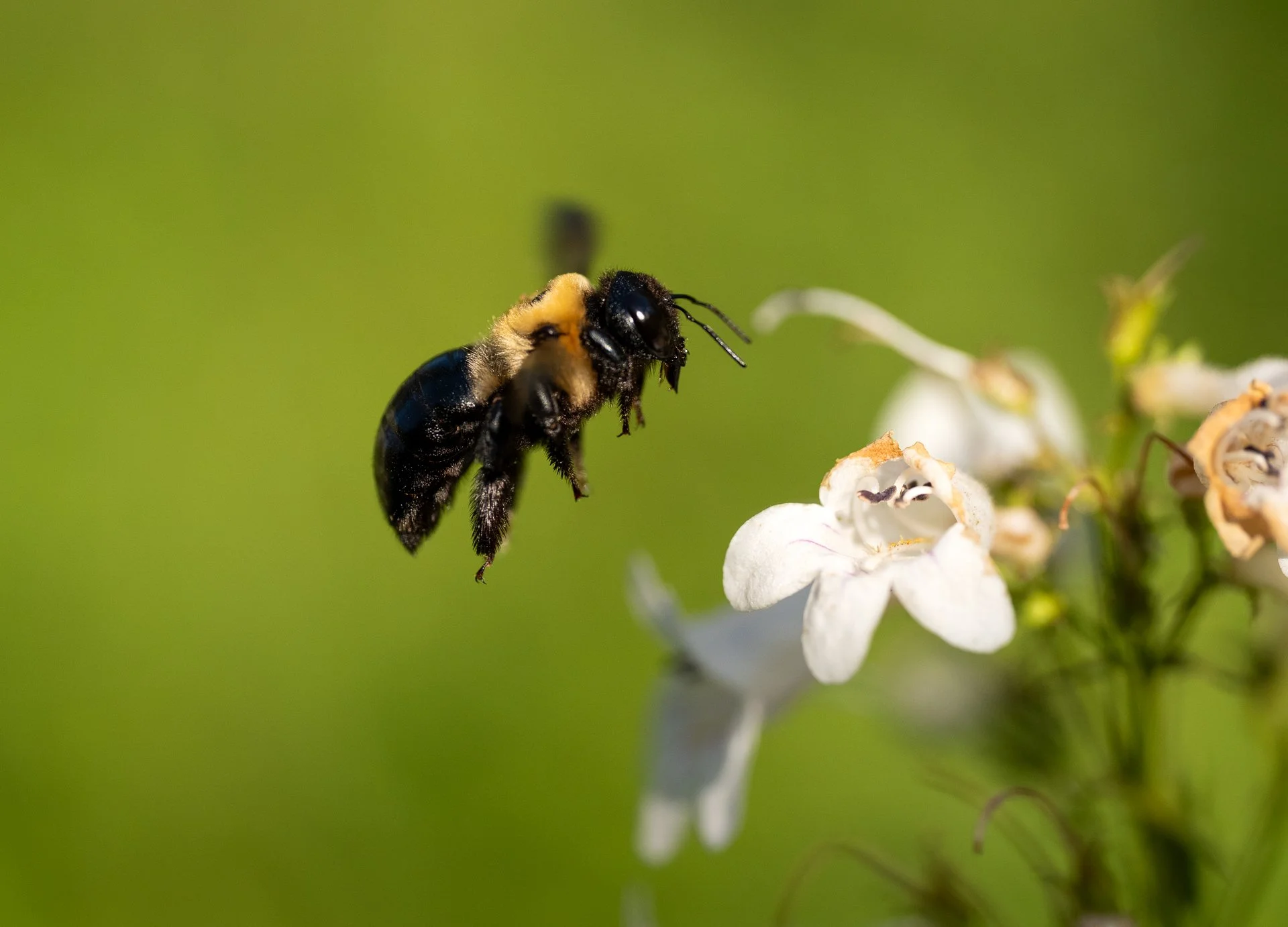 _DSC4591-2-Edit.jpg