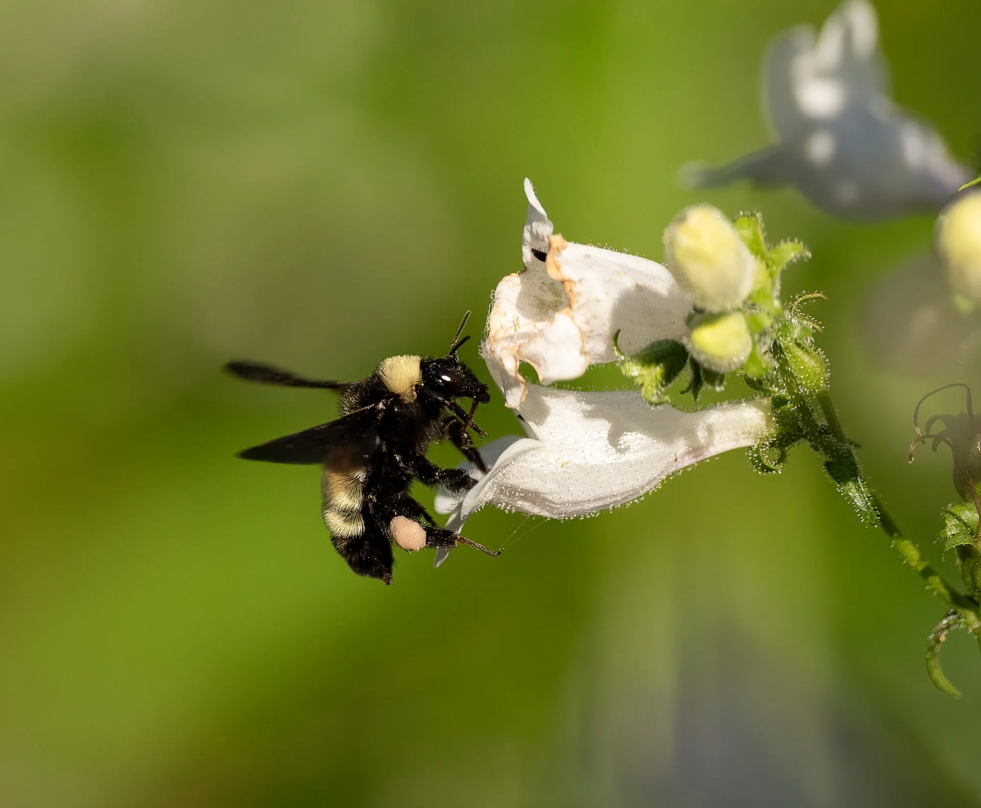 _DSC4299-2-Edit.jpg