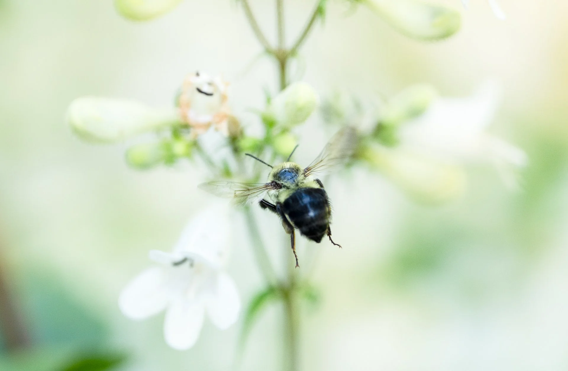 _DSC4434-2-Edit.jpg