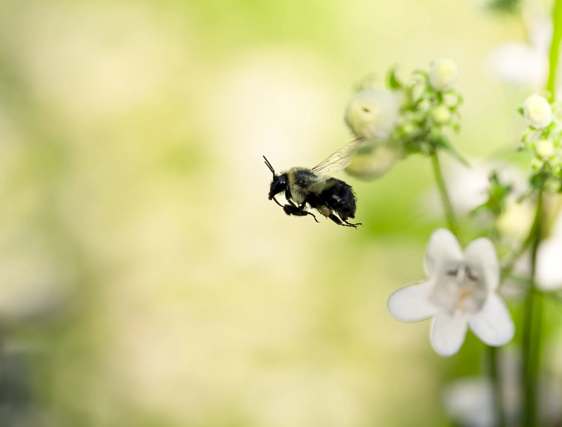 _DSC4343-2-Edit.jpg
