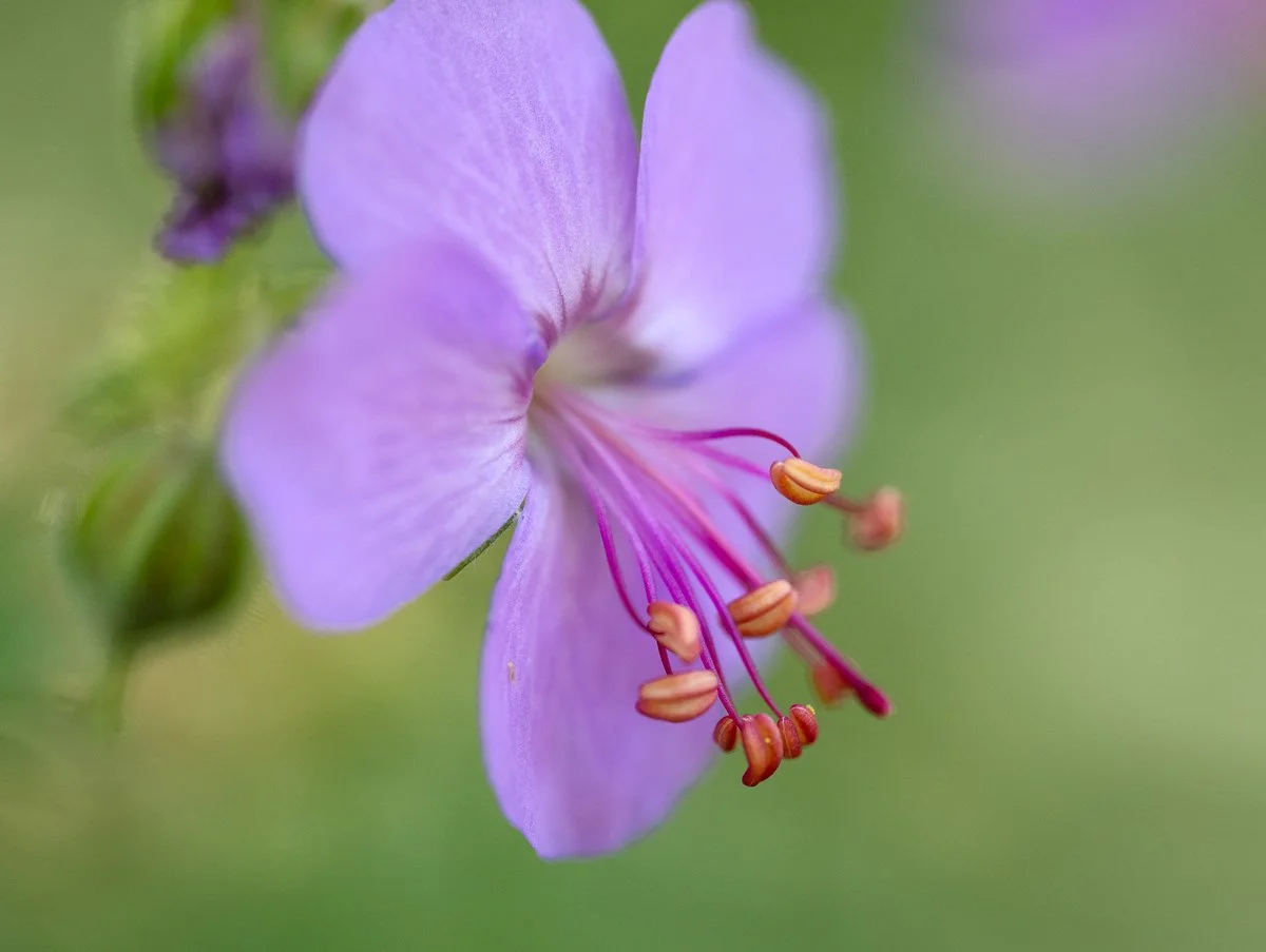 _DSC4832-Edit.jpg