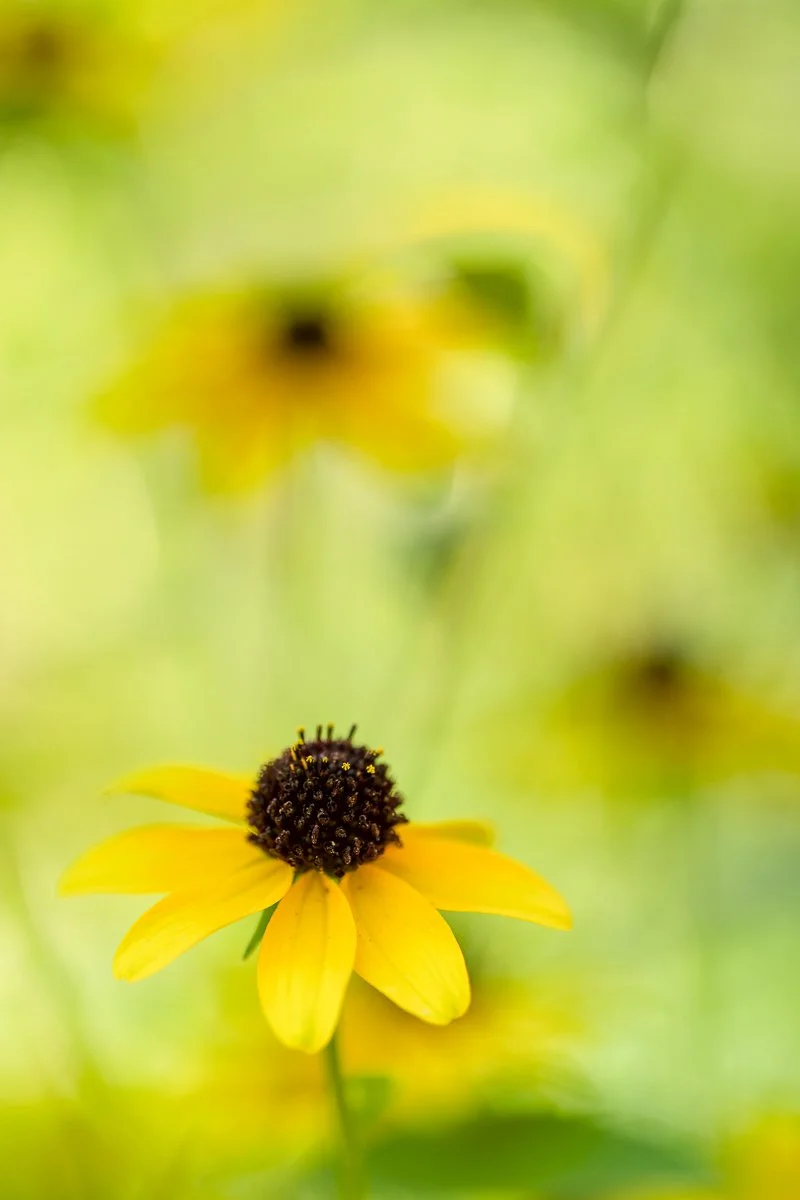 _DSC4957-Edit.jpg