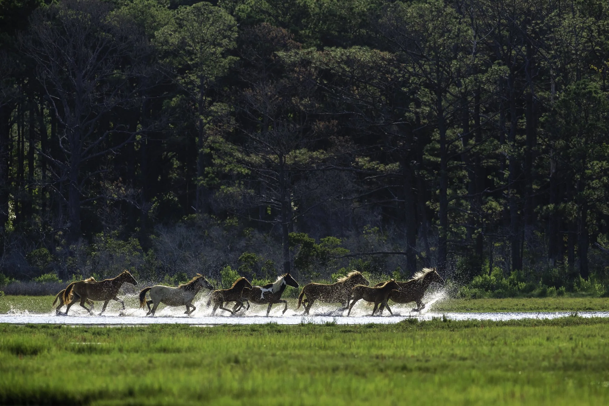 _DSC2817-2-Edit.jpg