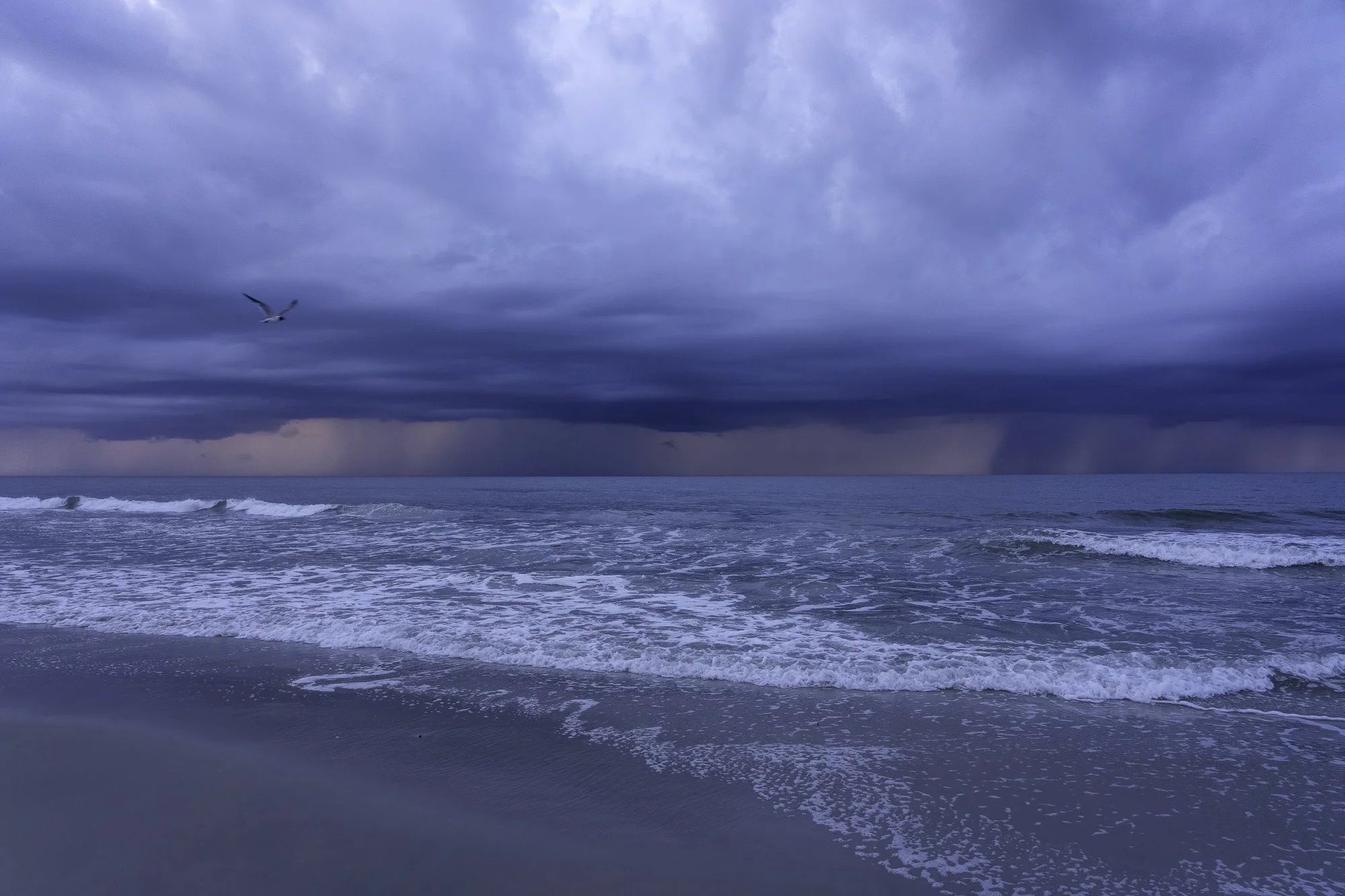 _DSC5171-2-Edit.jpg