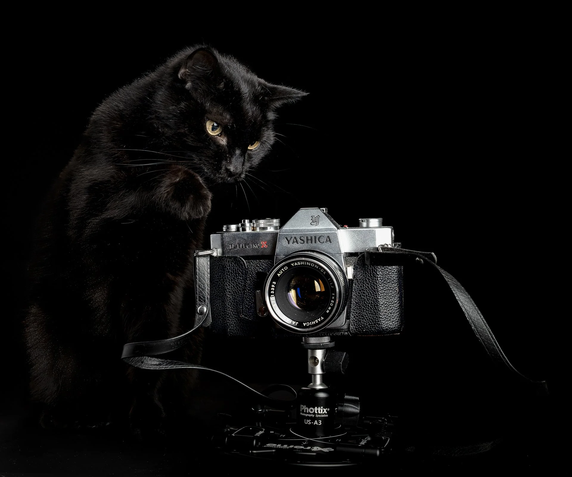 yashica-2-2.jpg