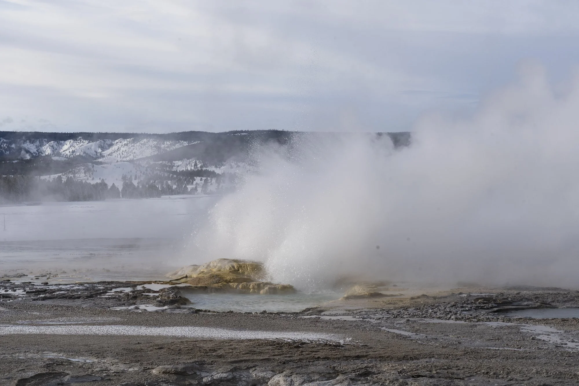 DSC08079-20220115_.jpg