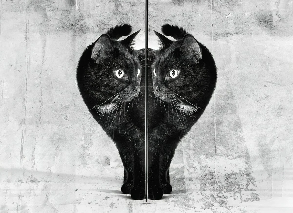 through the looking glass 4950px 11x14 copy.jpg