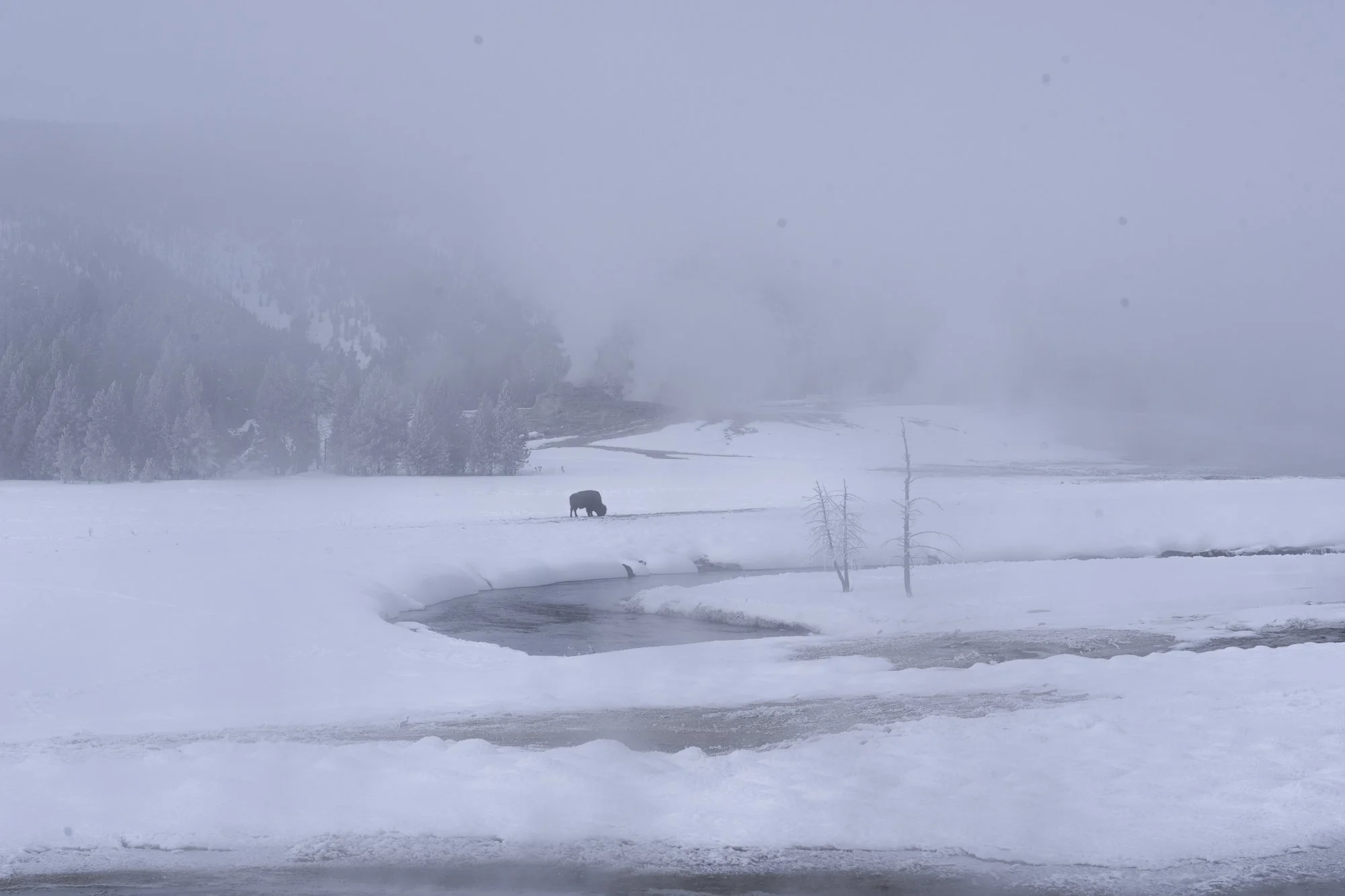 DSC04106-20220115_.jpg