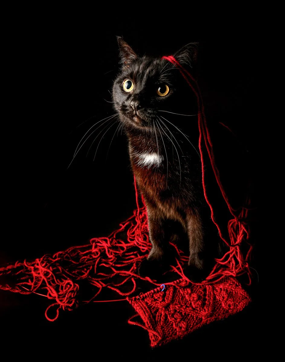 oh this was your yarn 4200px.jpg