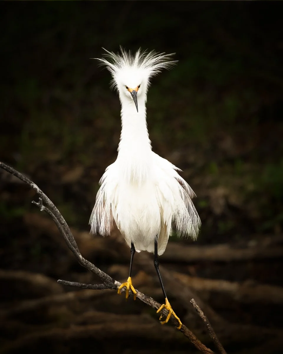 _DSC4762-Edit-Edit.jpg