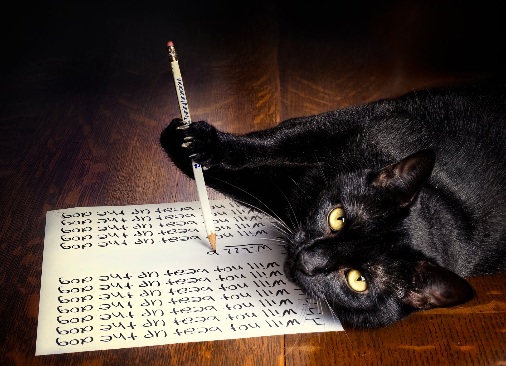 Purrjury repeating--272-Edit.jpg
