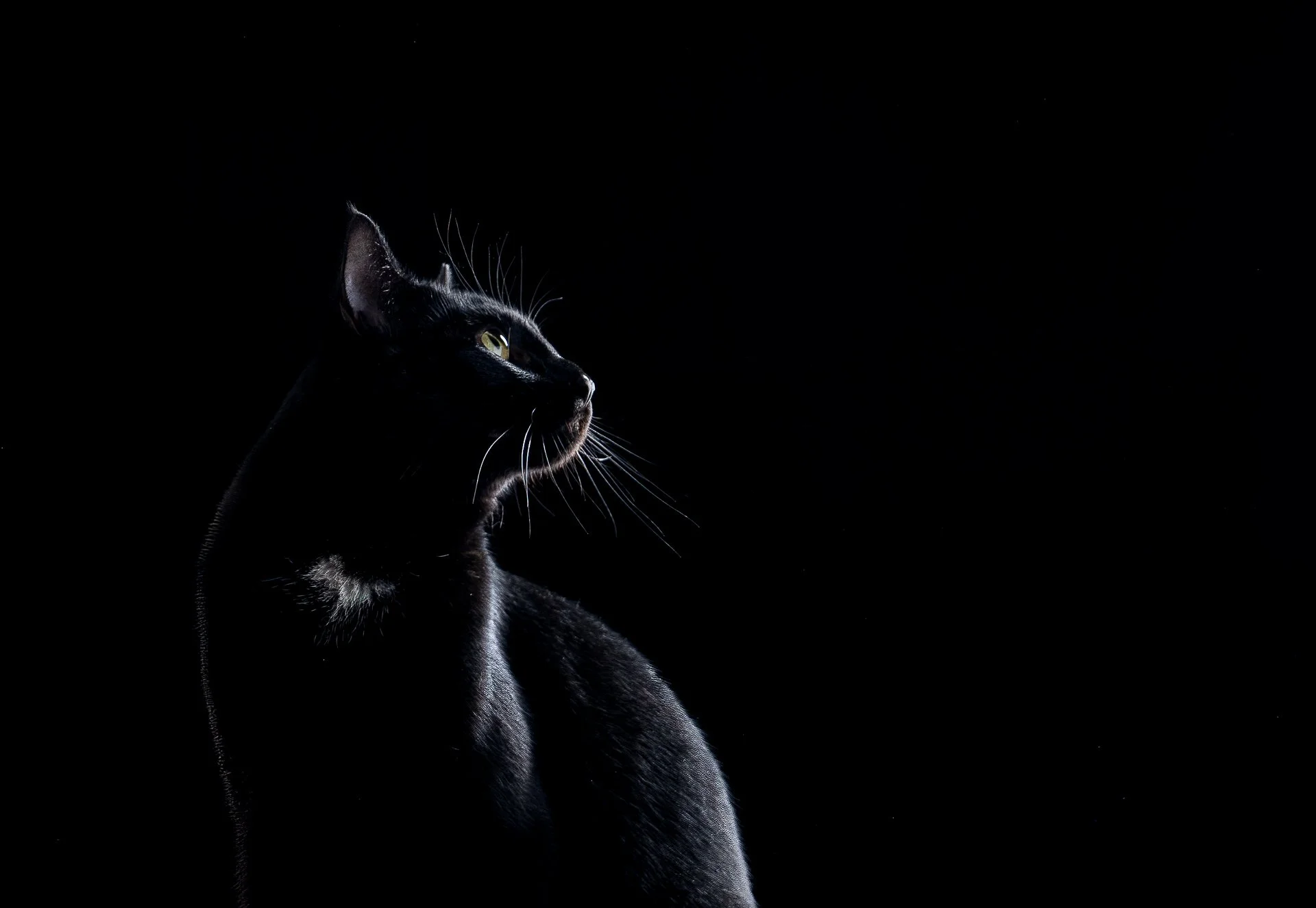 negative space-421-Edit-2.jpg