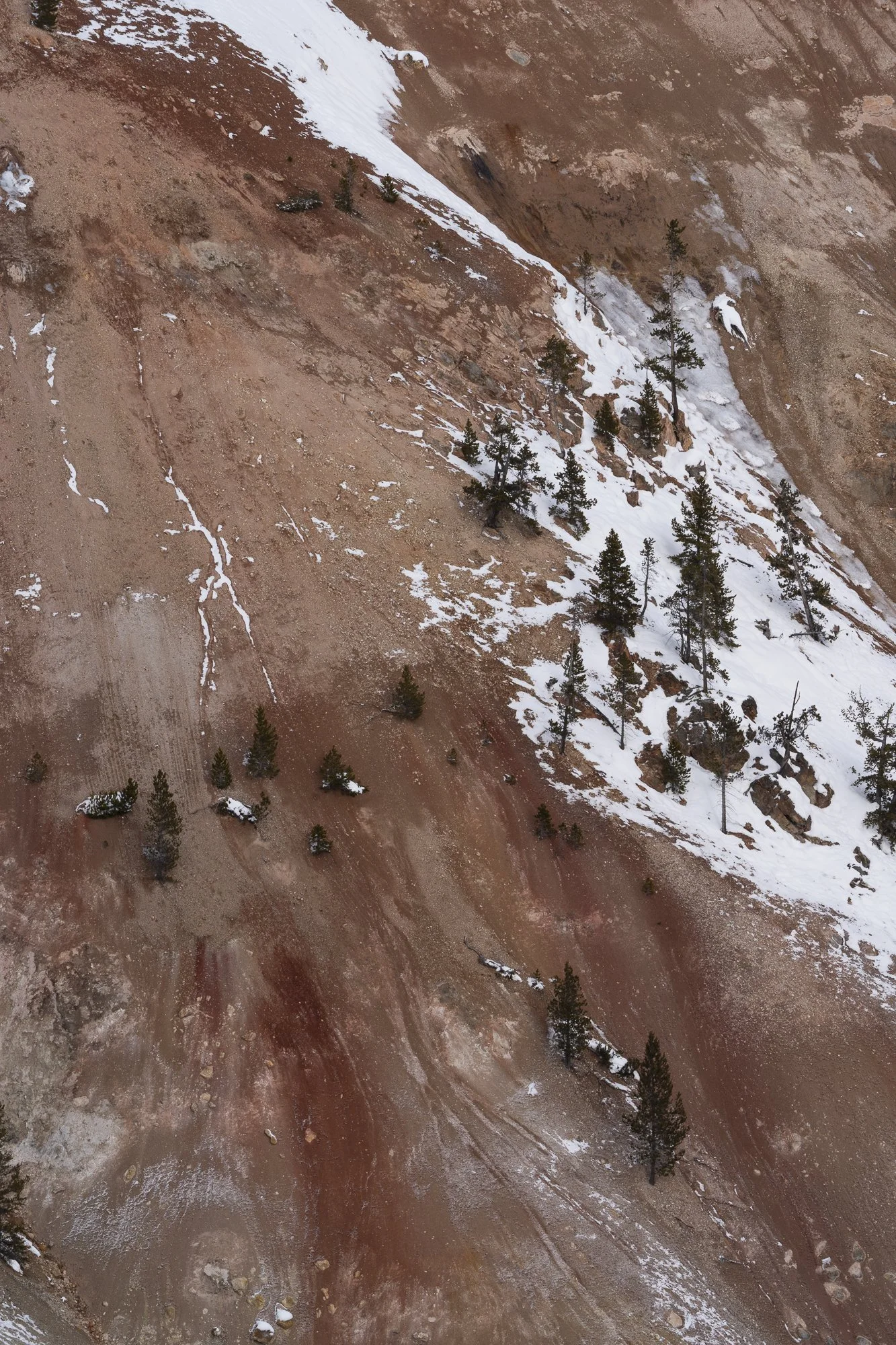 DSC07894-20220114_.jpg