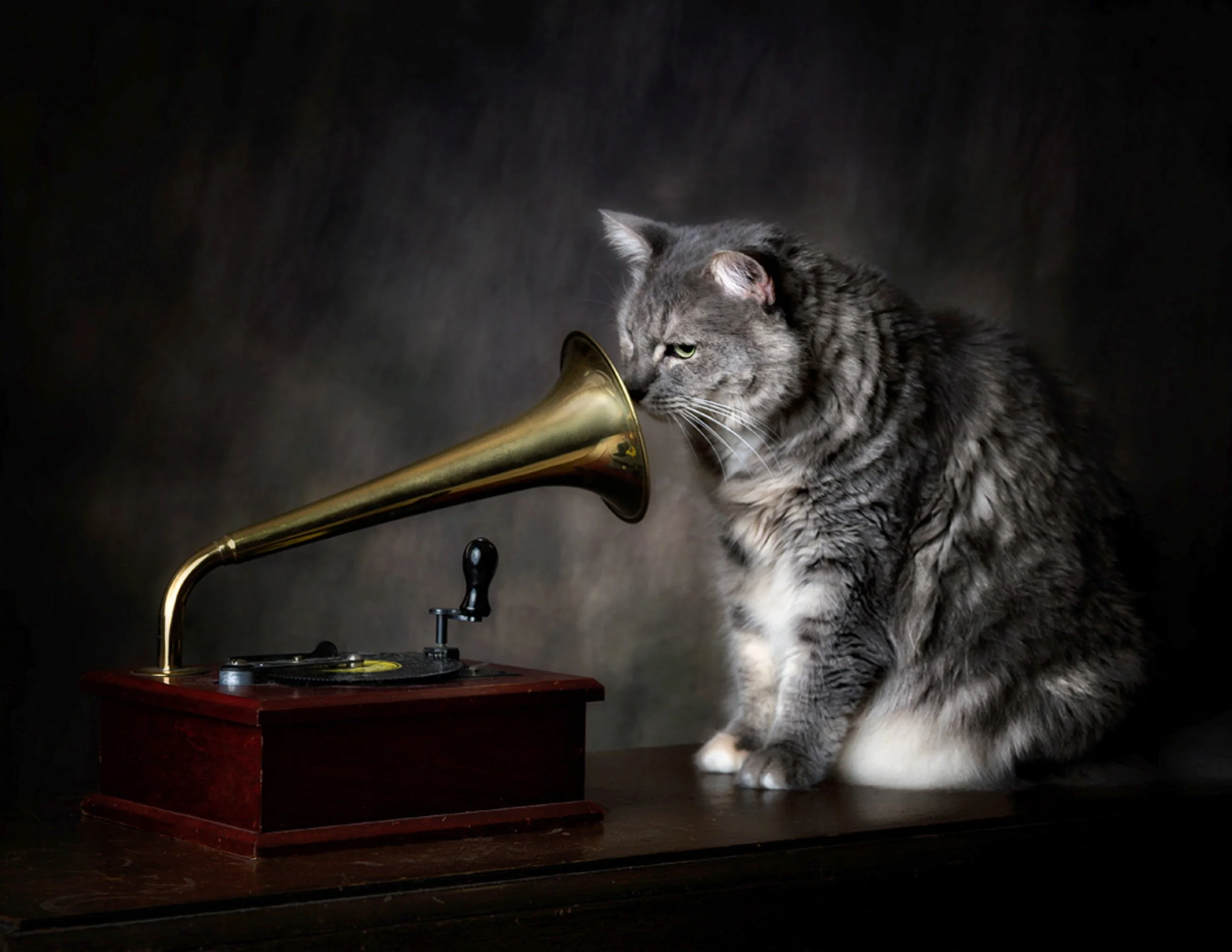 RCA Victor outtakes-5-2.jpg