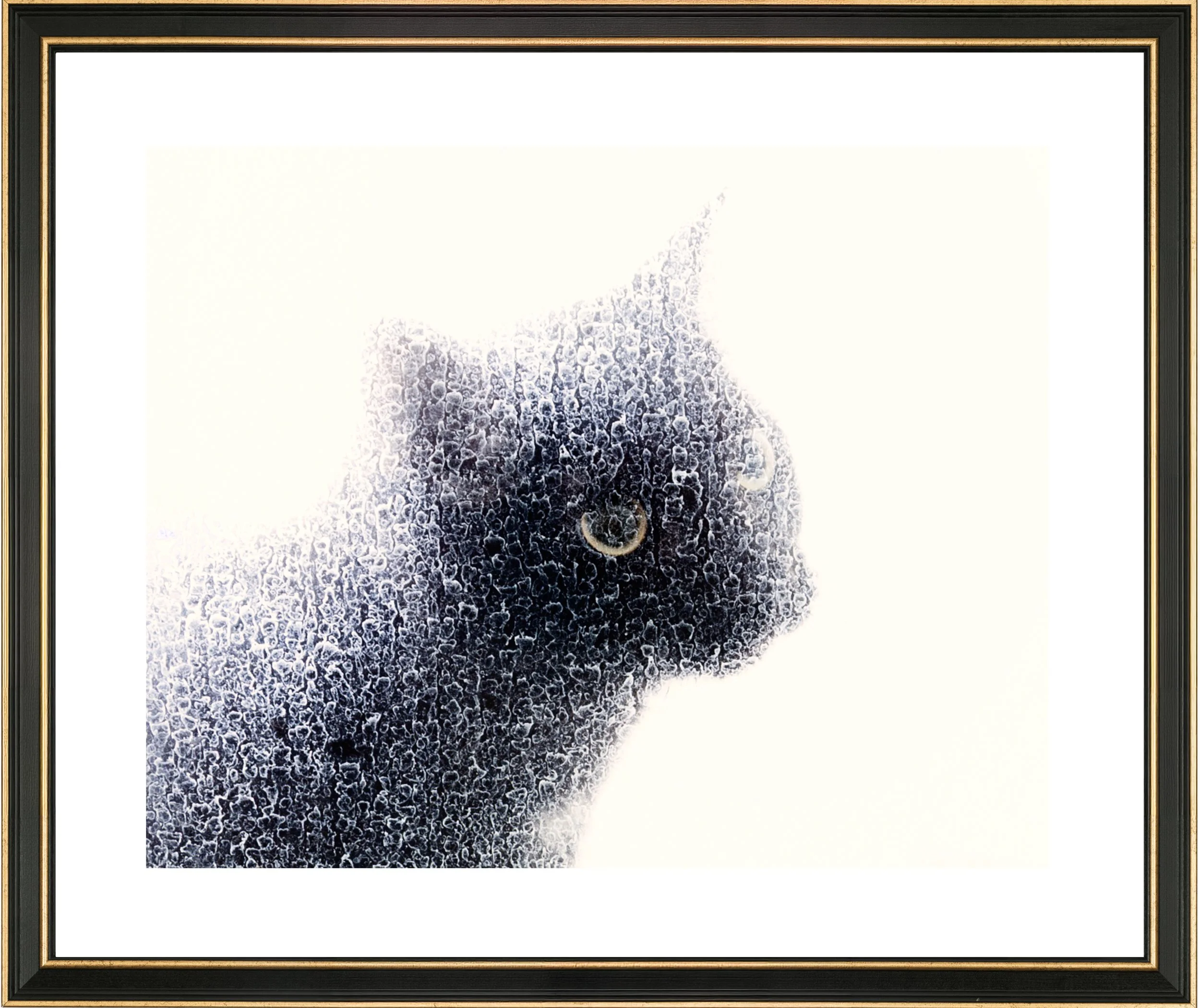 16x20 frame copytrau .jpg