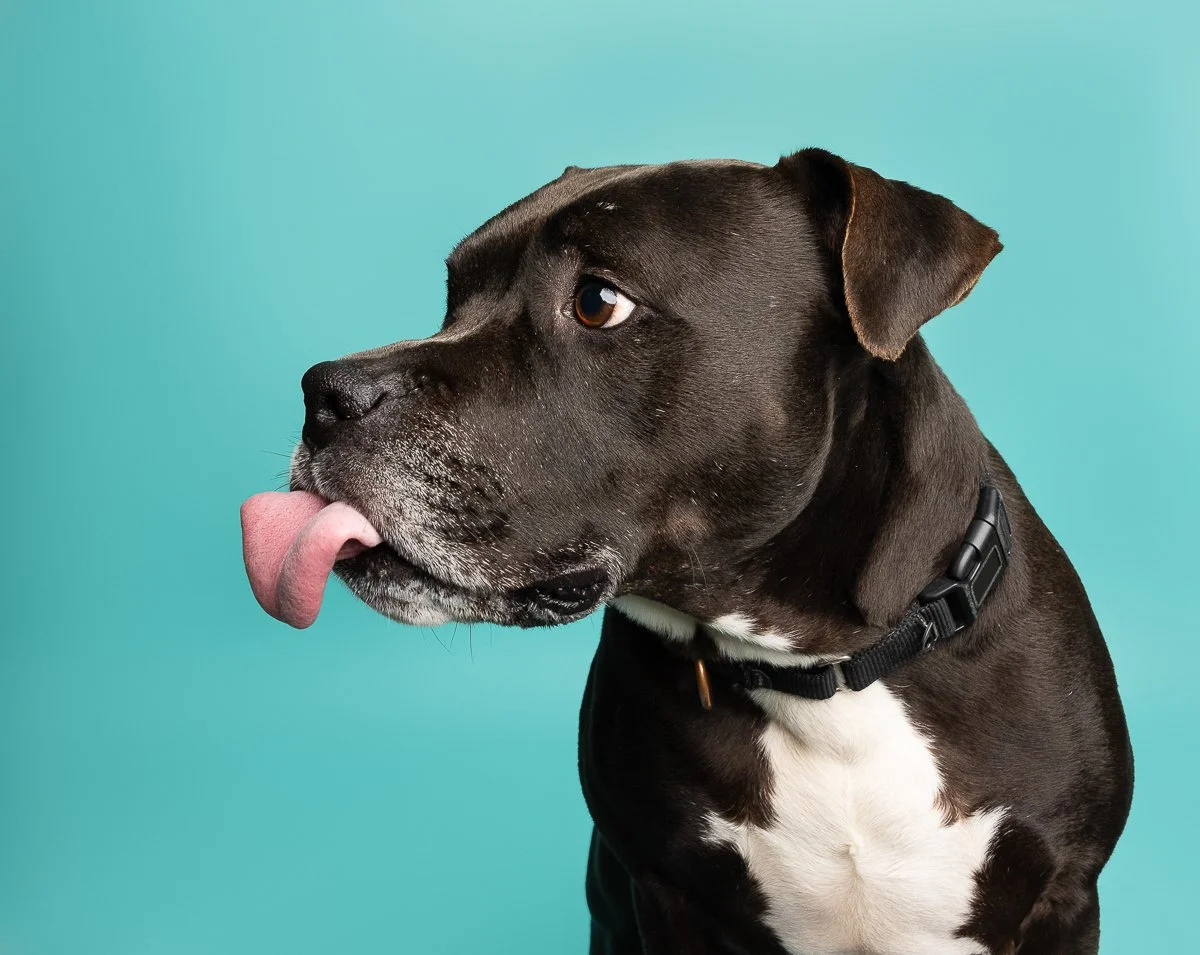 DSC01549-20231122 -Edit.jpg