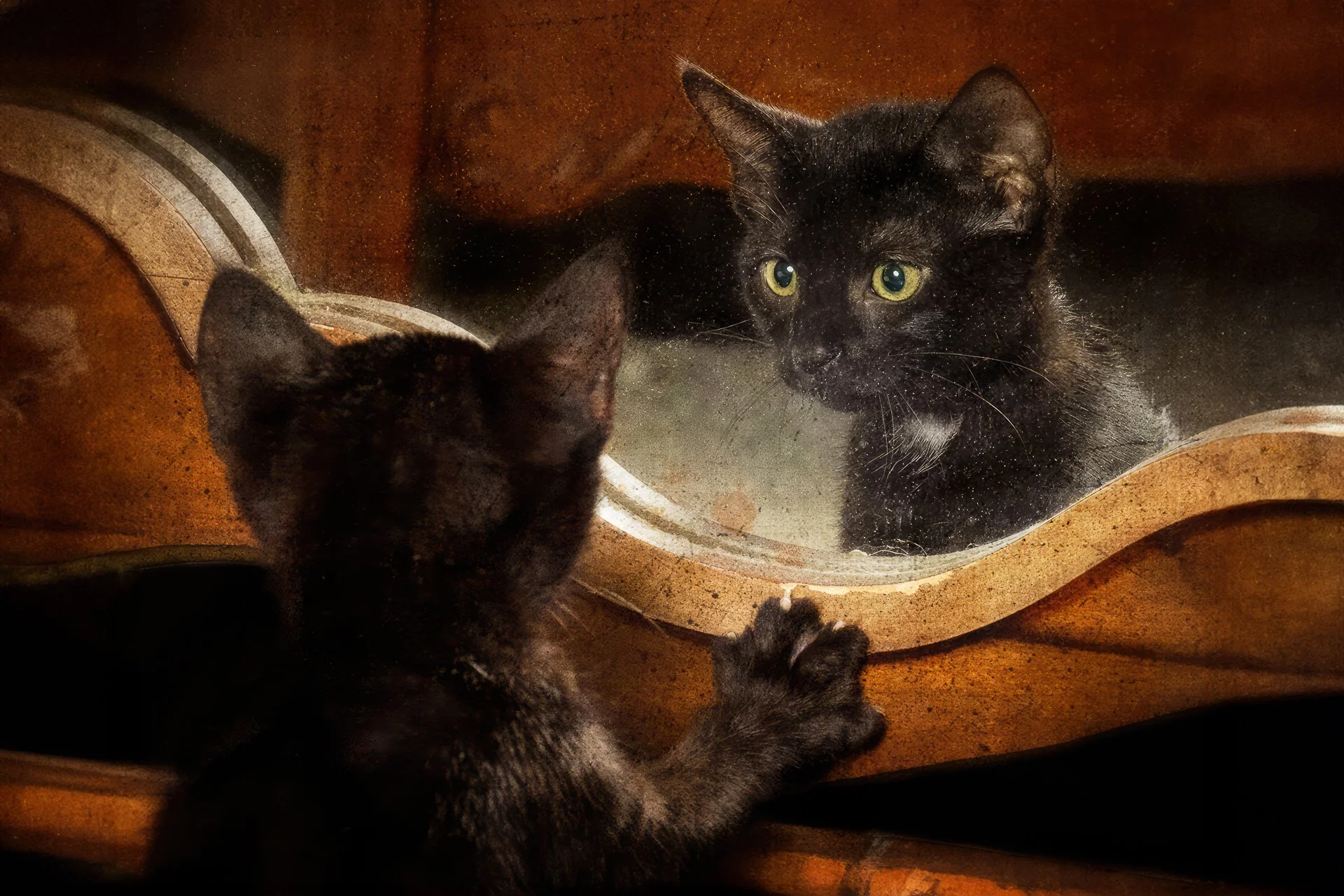 A Chance encounter--2.jpg
