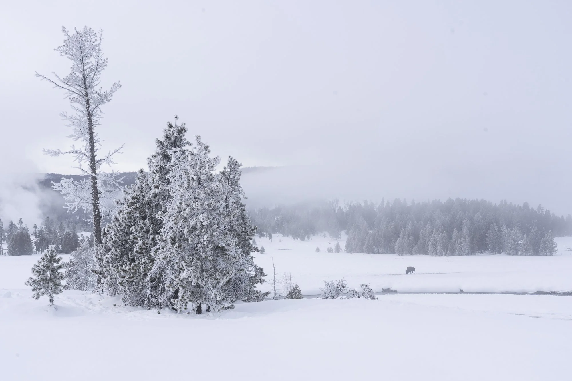 DSC04075-20220115_.jpg