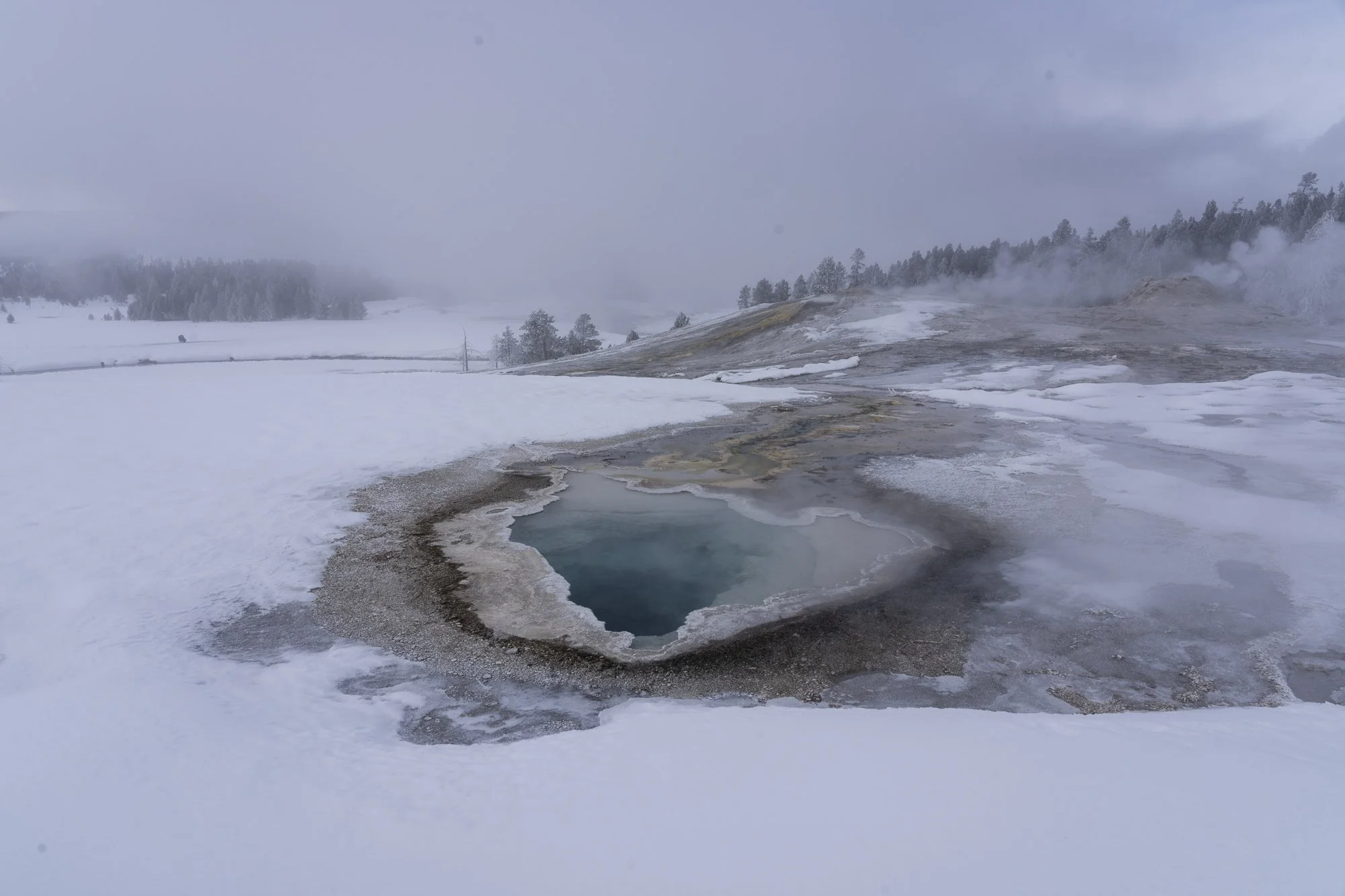 DSC04064-20220115_.jpg