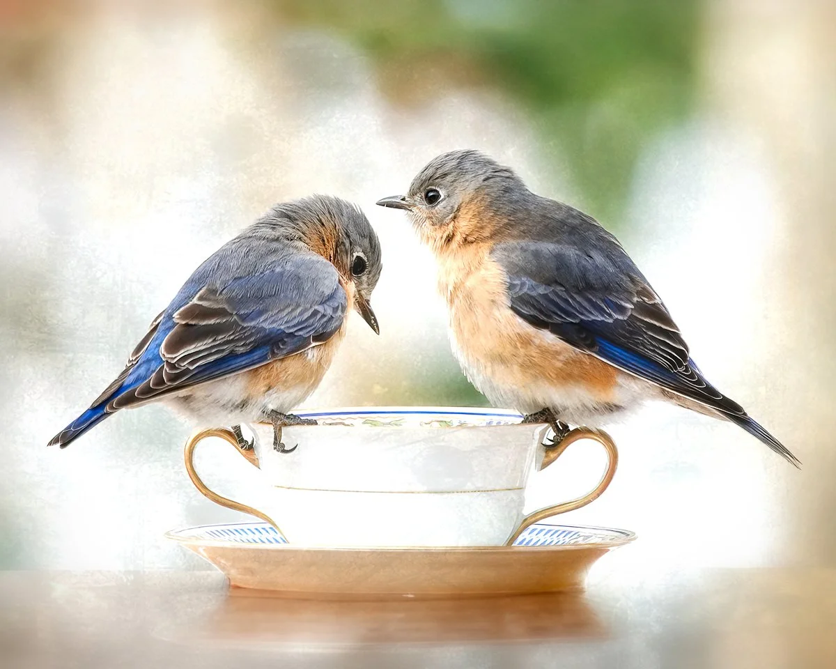 Tea for Two