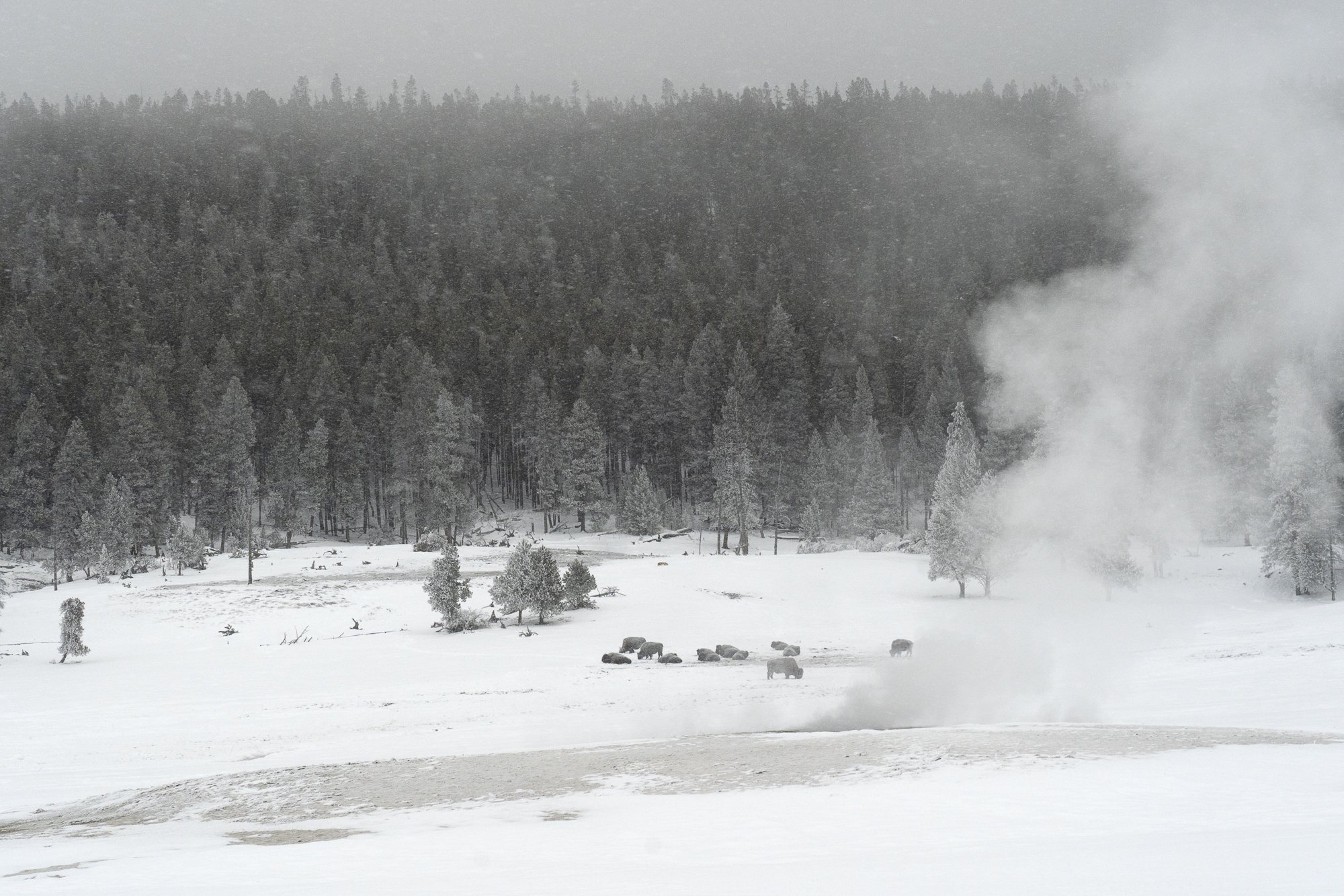 DSC07732-20220114_.jpg