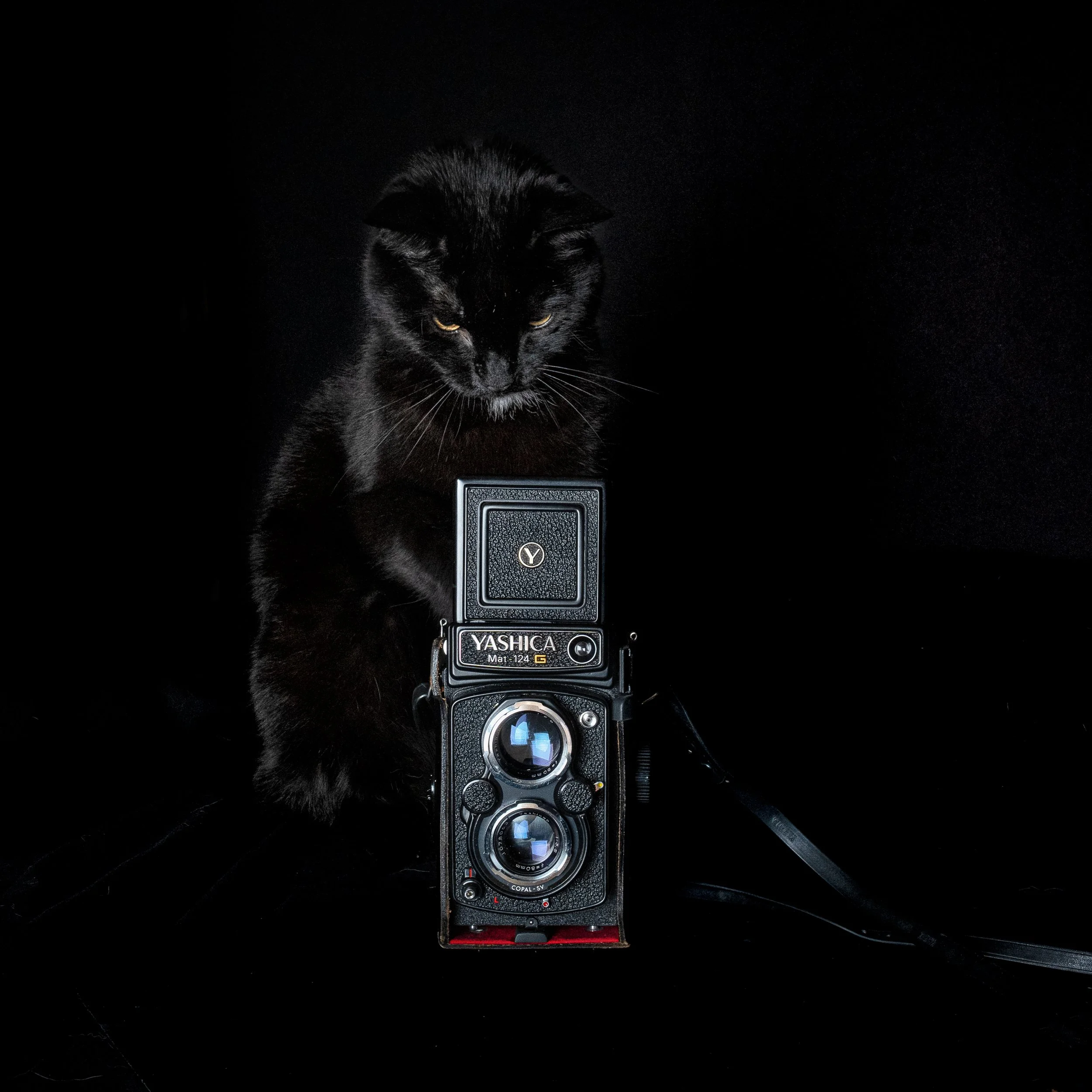 how do you focus this thing-2.jpg