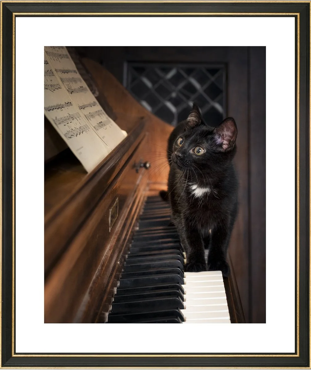 Framed for website artwork.jpg