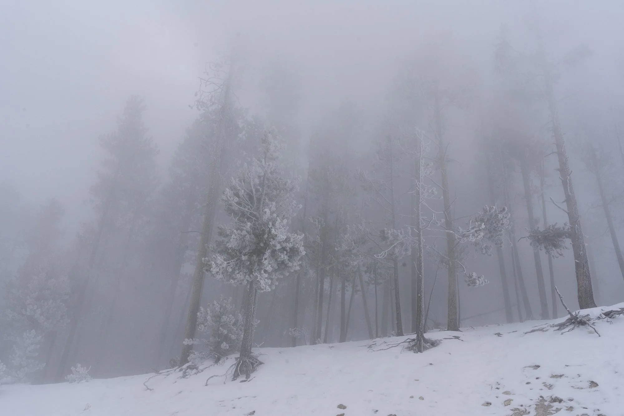 DSC07561-20220113_.jpg