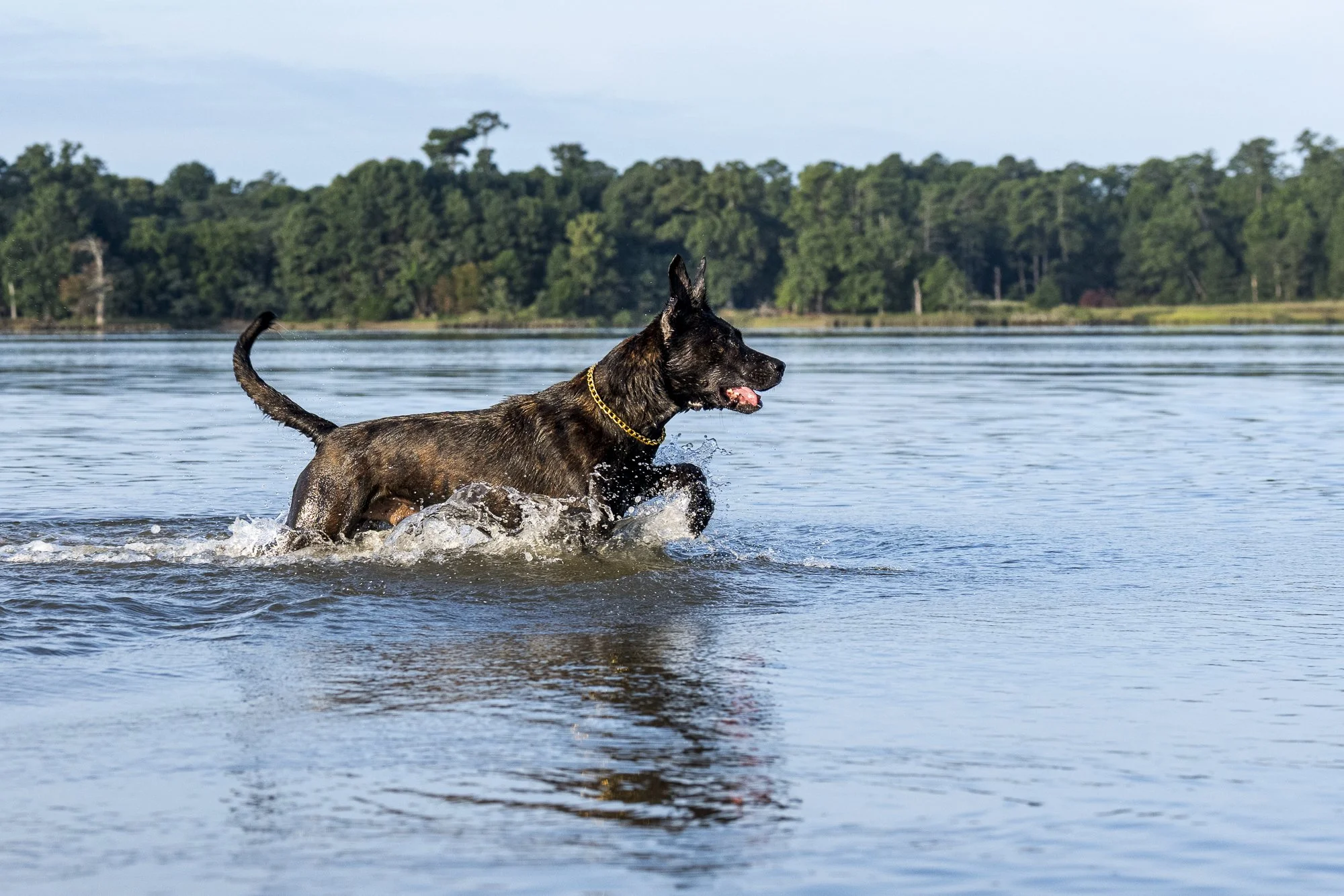 _DSC3441-2-Edit.jpg