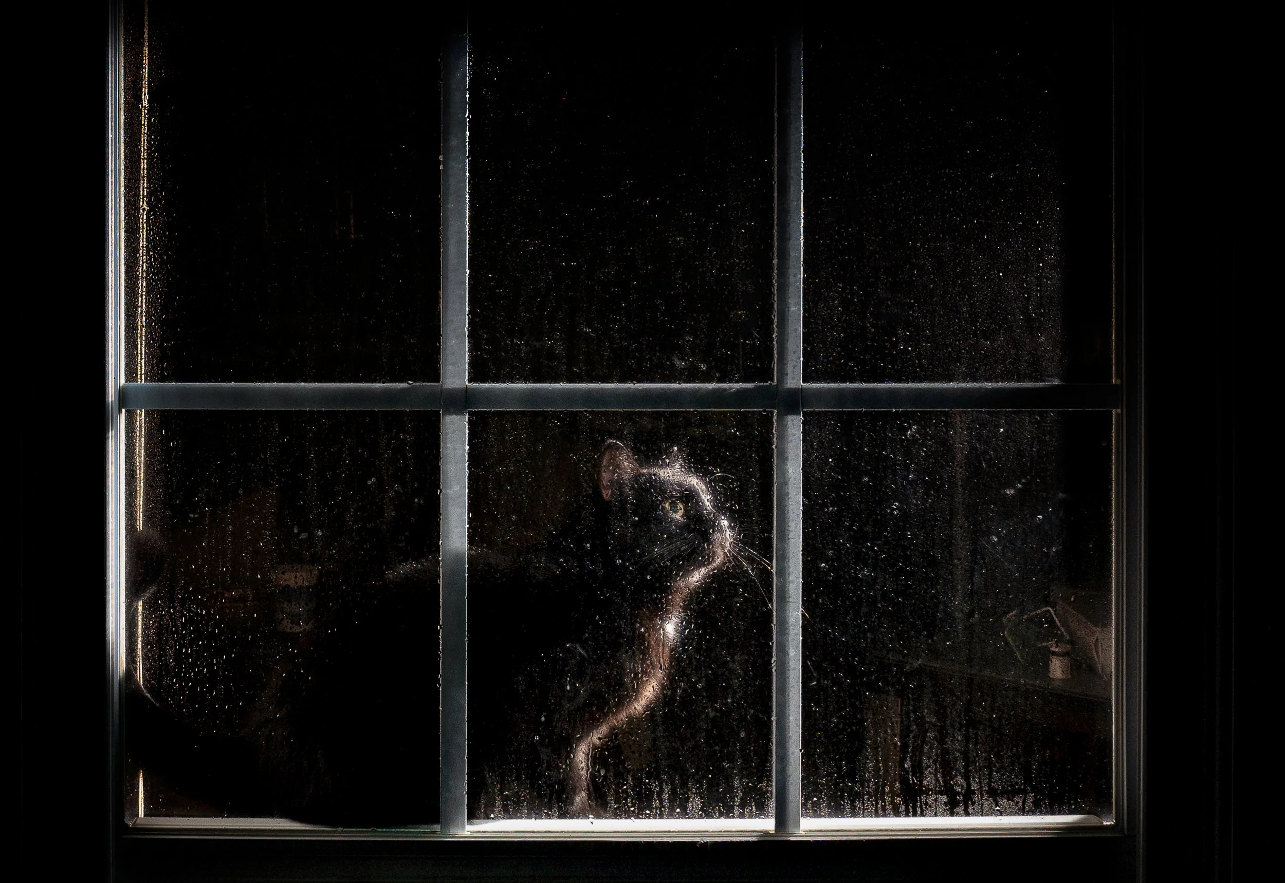 rainy day contemplations-16-2-2.jpg