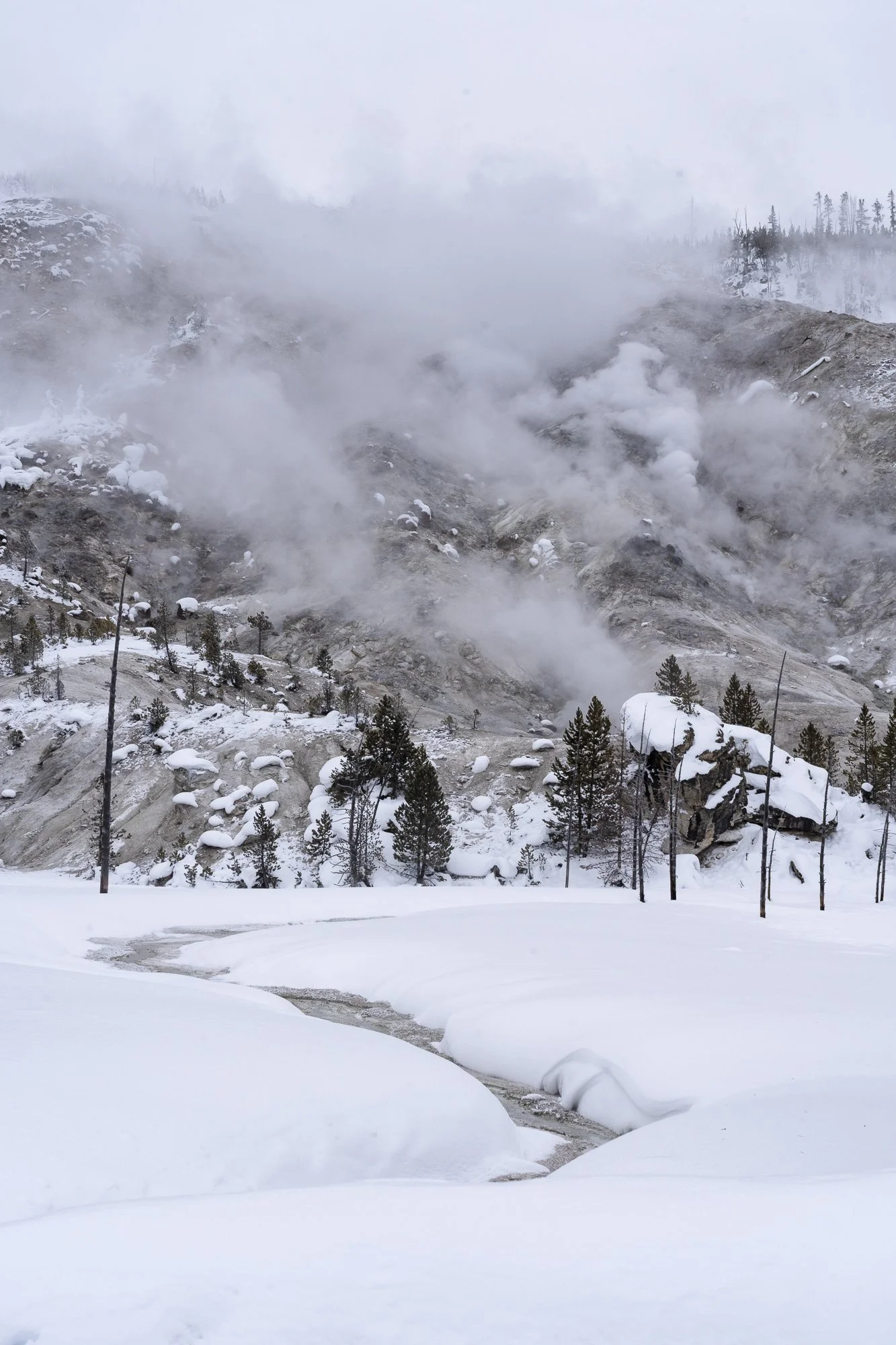 DSC07458-20220113_.jpg
