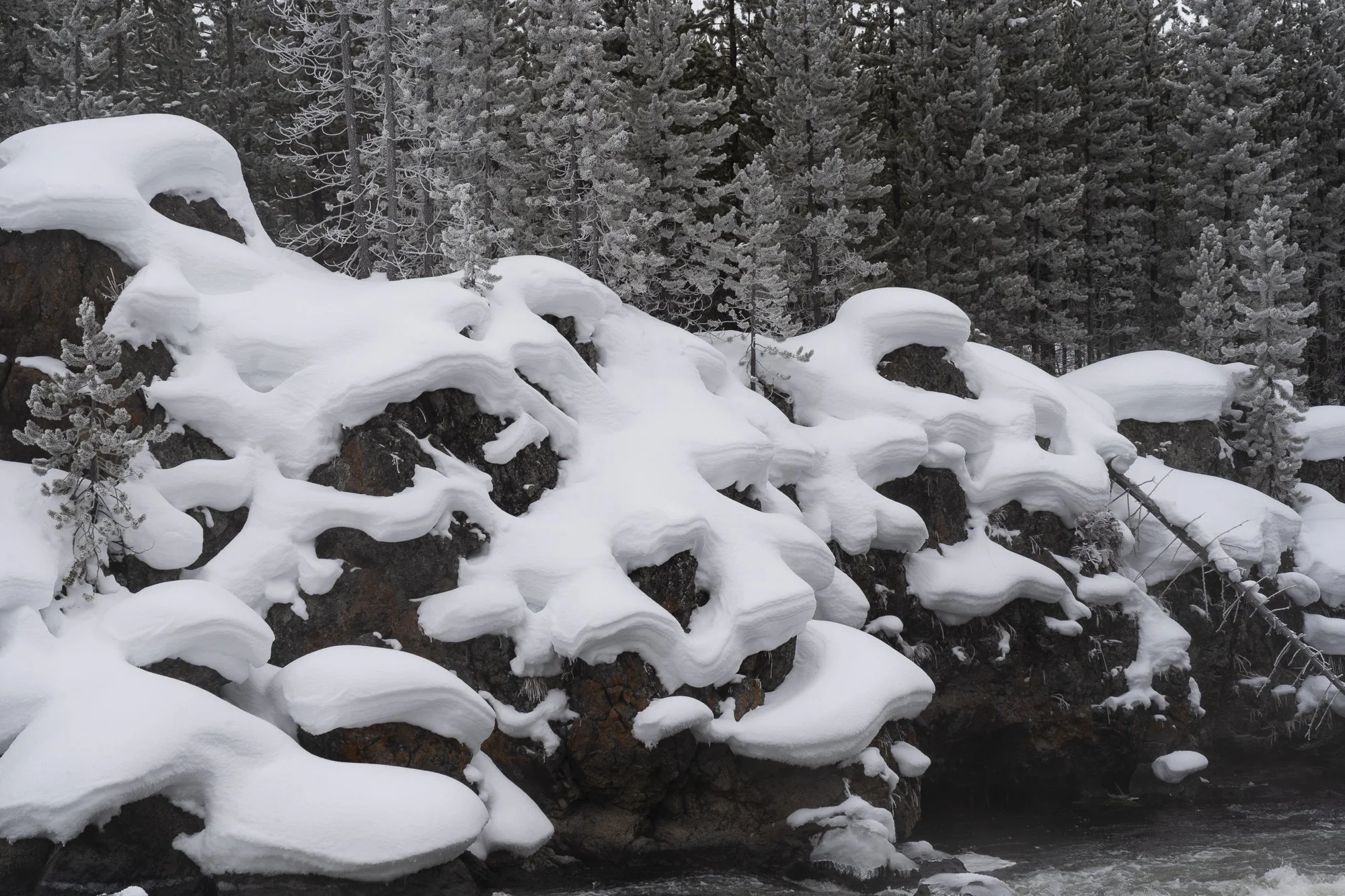 DSC07639-20220113_.jpg