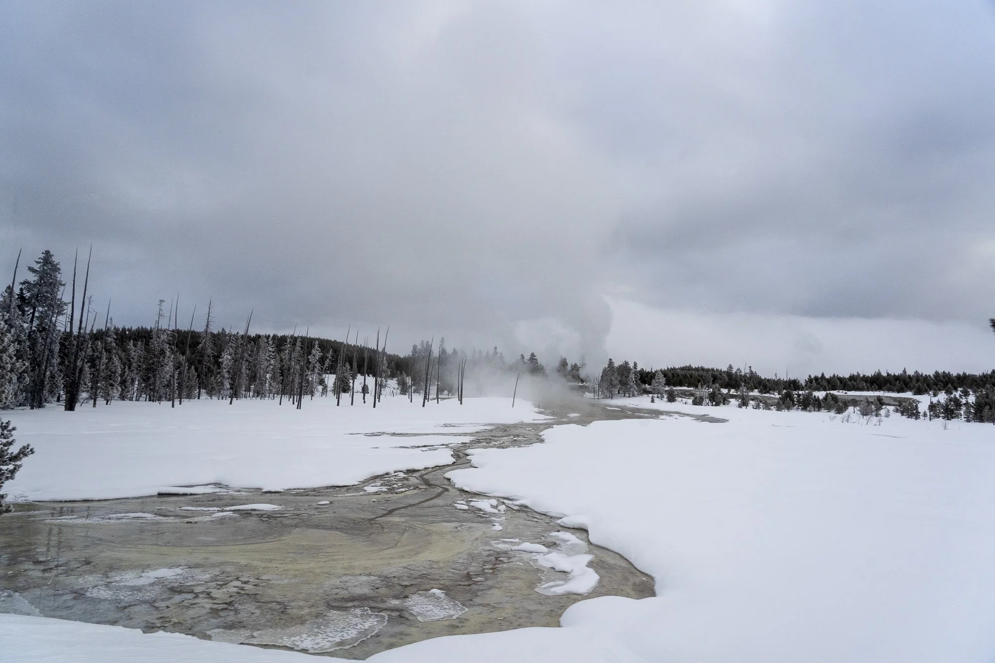 DSC07687-20220114_.jpg