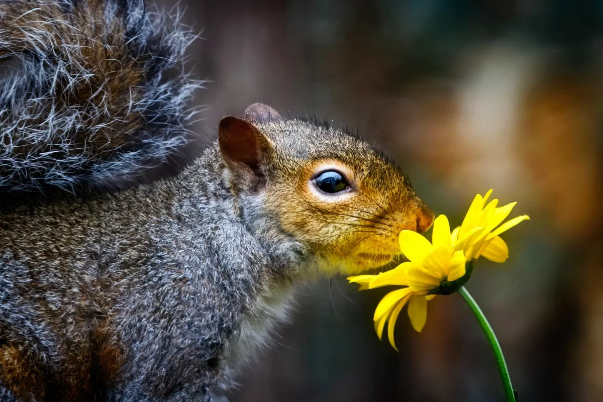 Dont forget to smell the flowers-.jpg