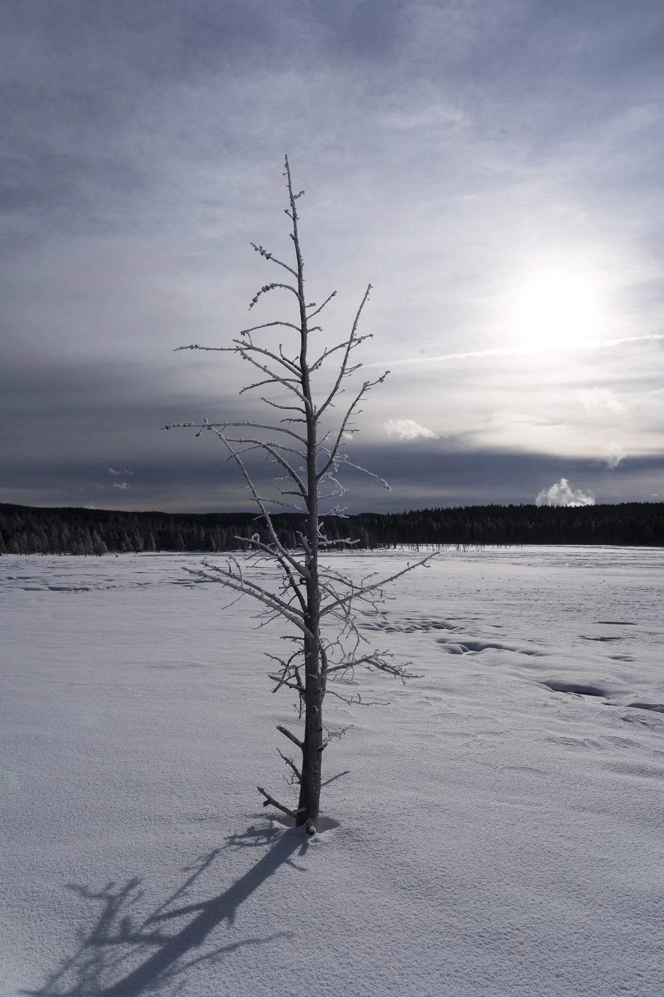 DSC08172-20220115_.jpg