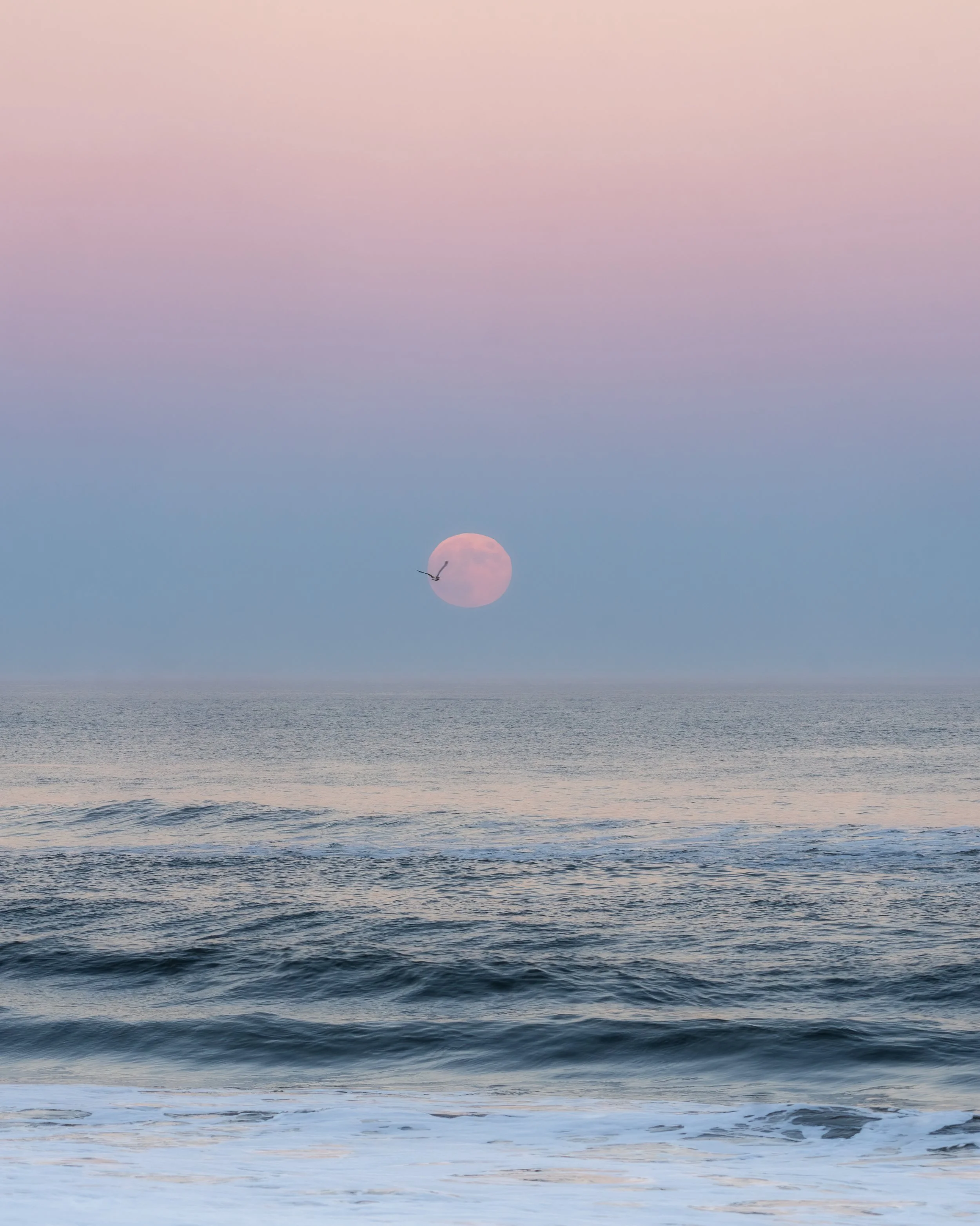 assateague moonriseDSC00101-20231028 -Edit-2.jpg