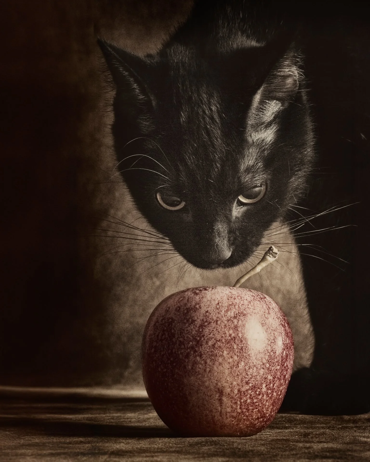 temptation copy-2.jpg
