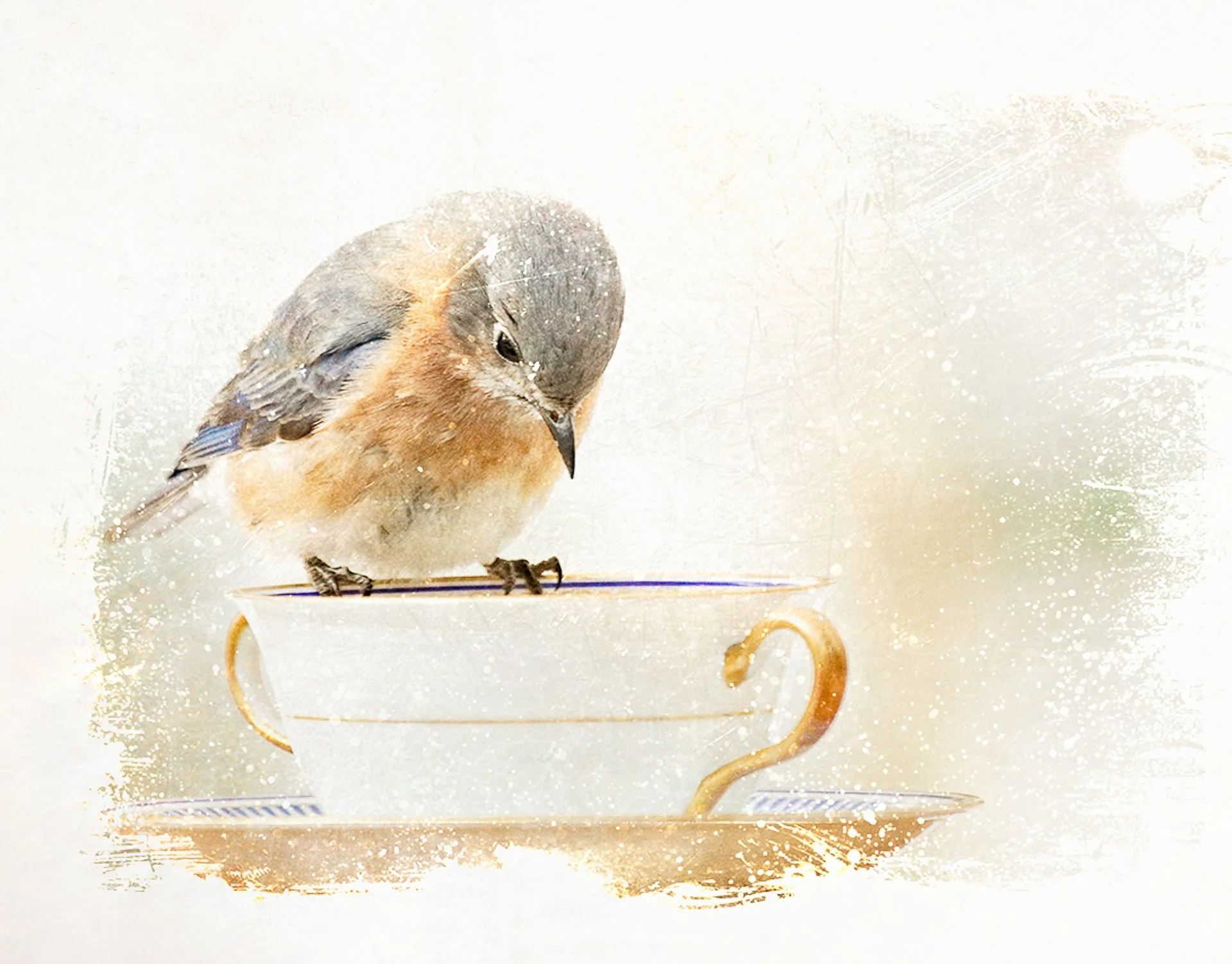 Life in a teacup - extended for canvas copy-2.jpg