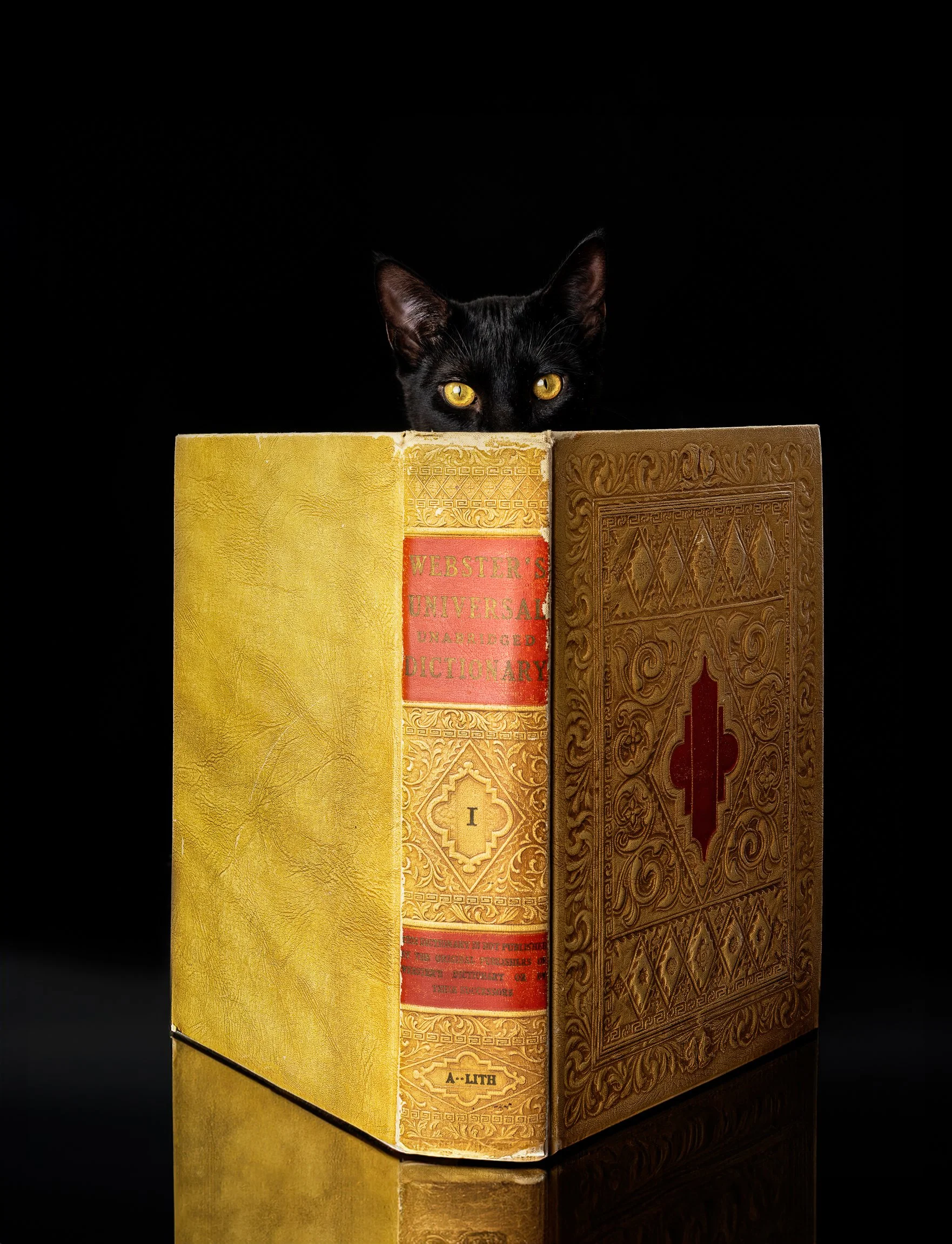 research DSC09741-20240103 copy.jpg